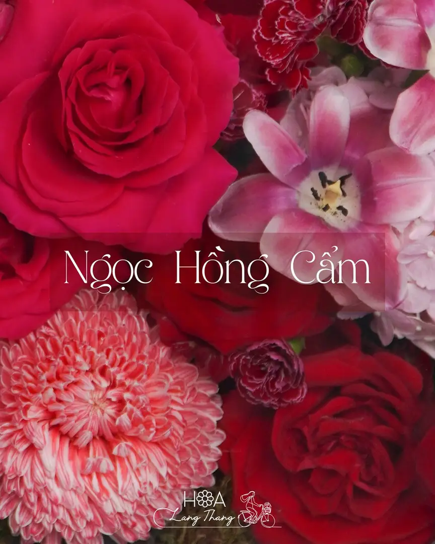 Hoa Đông Thảo Đẹp Hà Nội — Xu Hướng Trang Trí Nội Thất Cao Cấp 2024 - Hoa Lang Thang Hà Nội