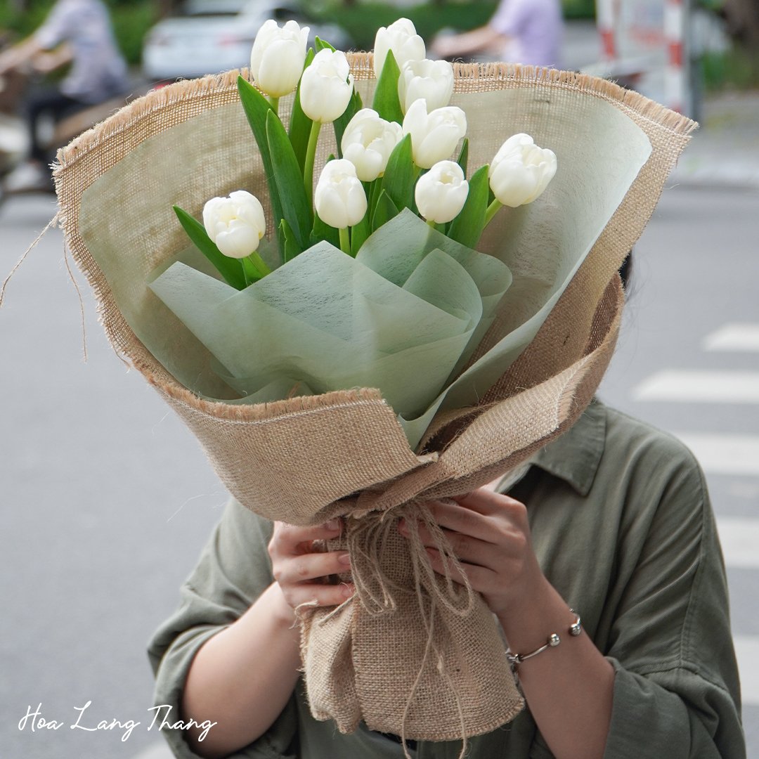 Bó hoa tulip trắng trang nhã, thích hợp cho nhiều dịp