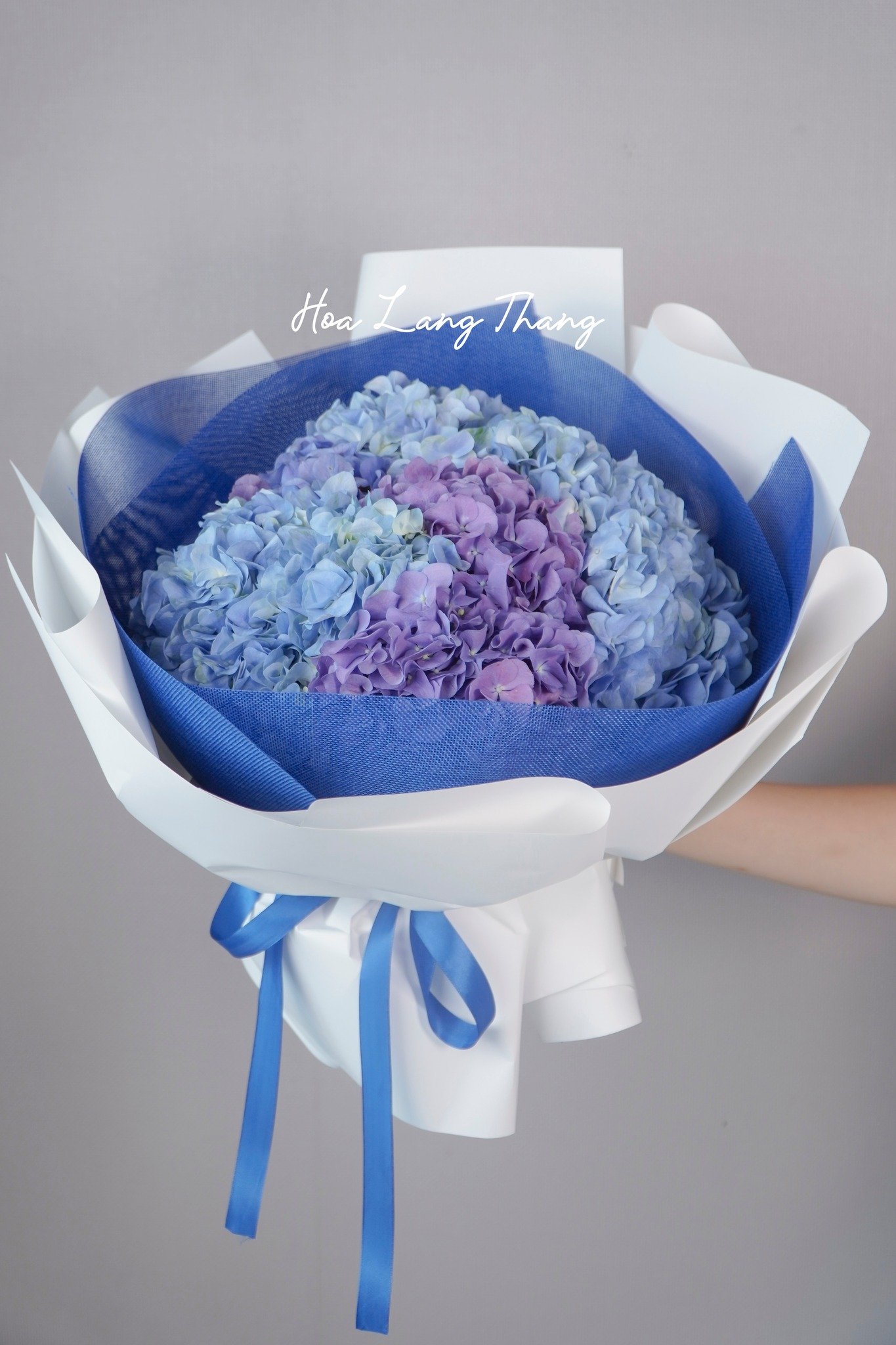 Bó hoa cẩm tú cầu tím xanh đẹp mắt, kiểu cắm hiện đại