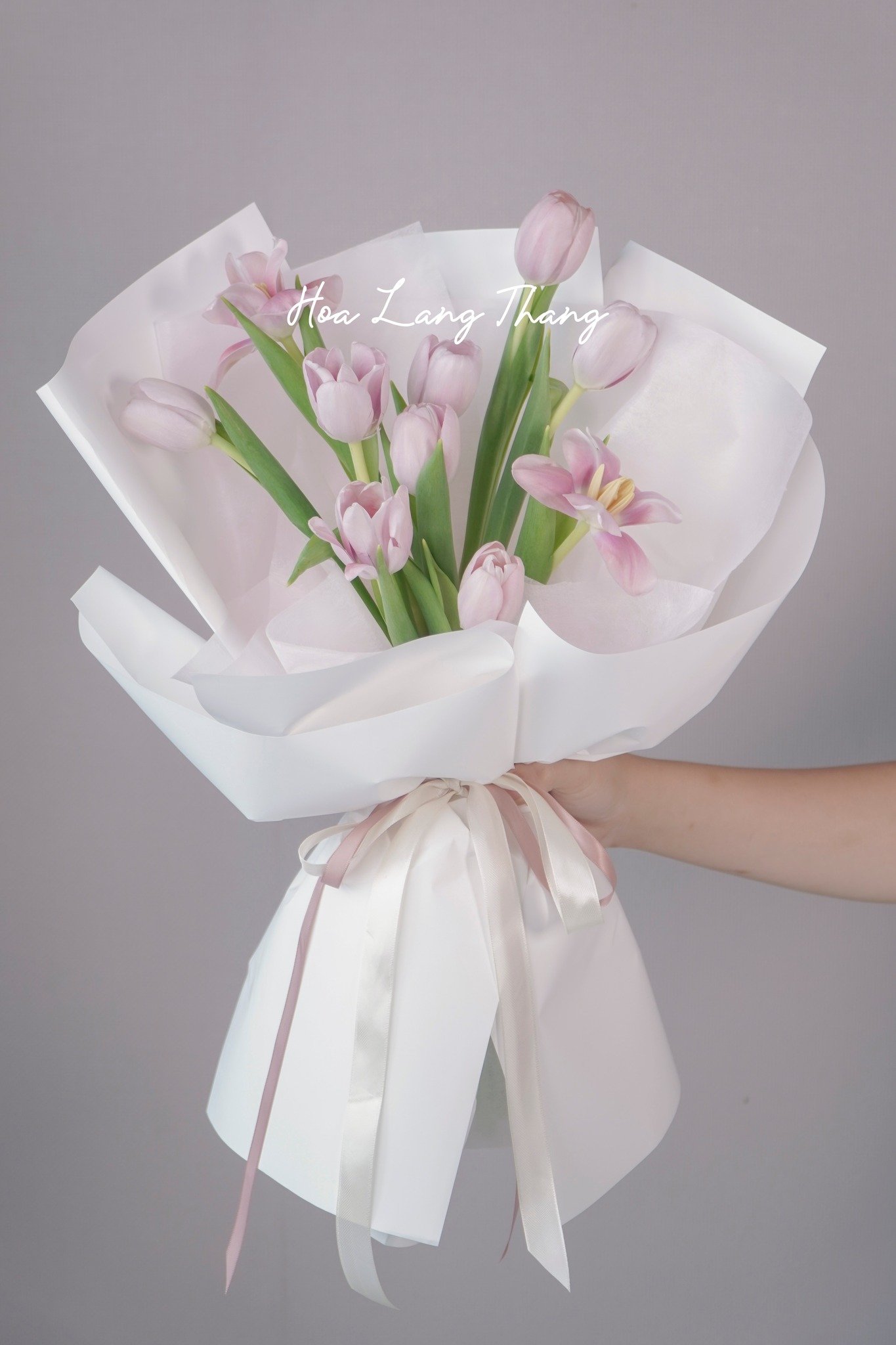 Bó hoa tulip hồng nhẹ nhàng, thích hợp cho các dịp đặc biệt