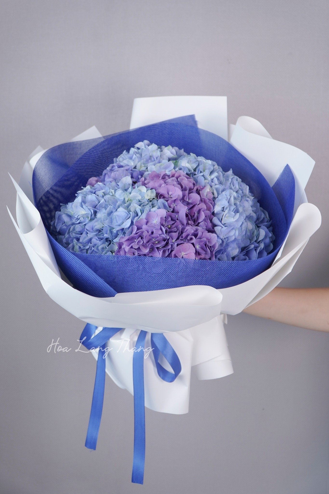 Bó hoa cẩm tú cầu tím xanh đẹp mắt, kiểu cắm tinh tế