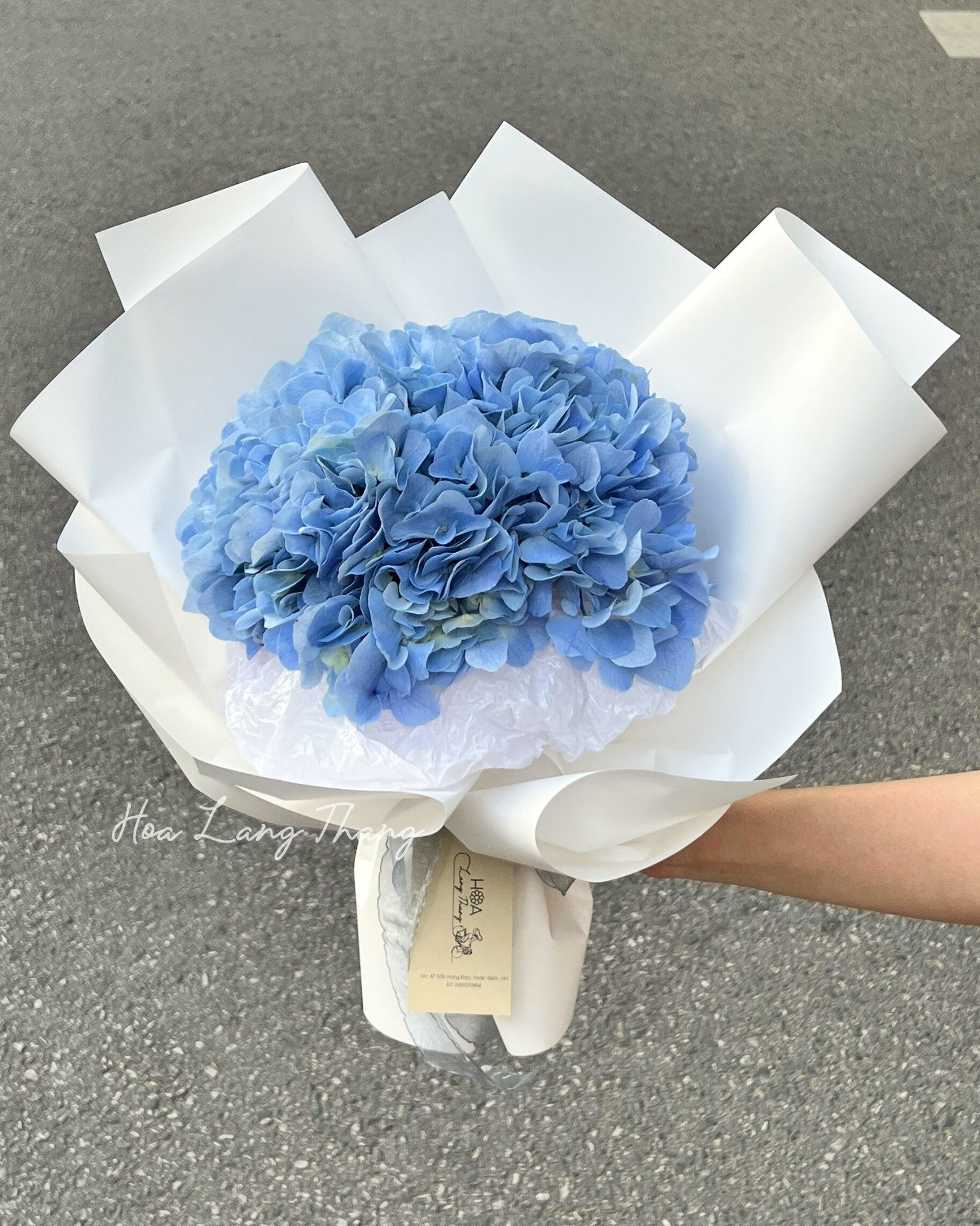 Bó hoa cẩm tú cầu xanh pastel đẹp mắt, kiểu cắm sang trọng