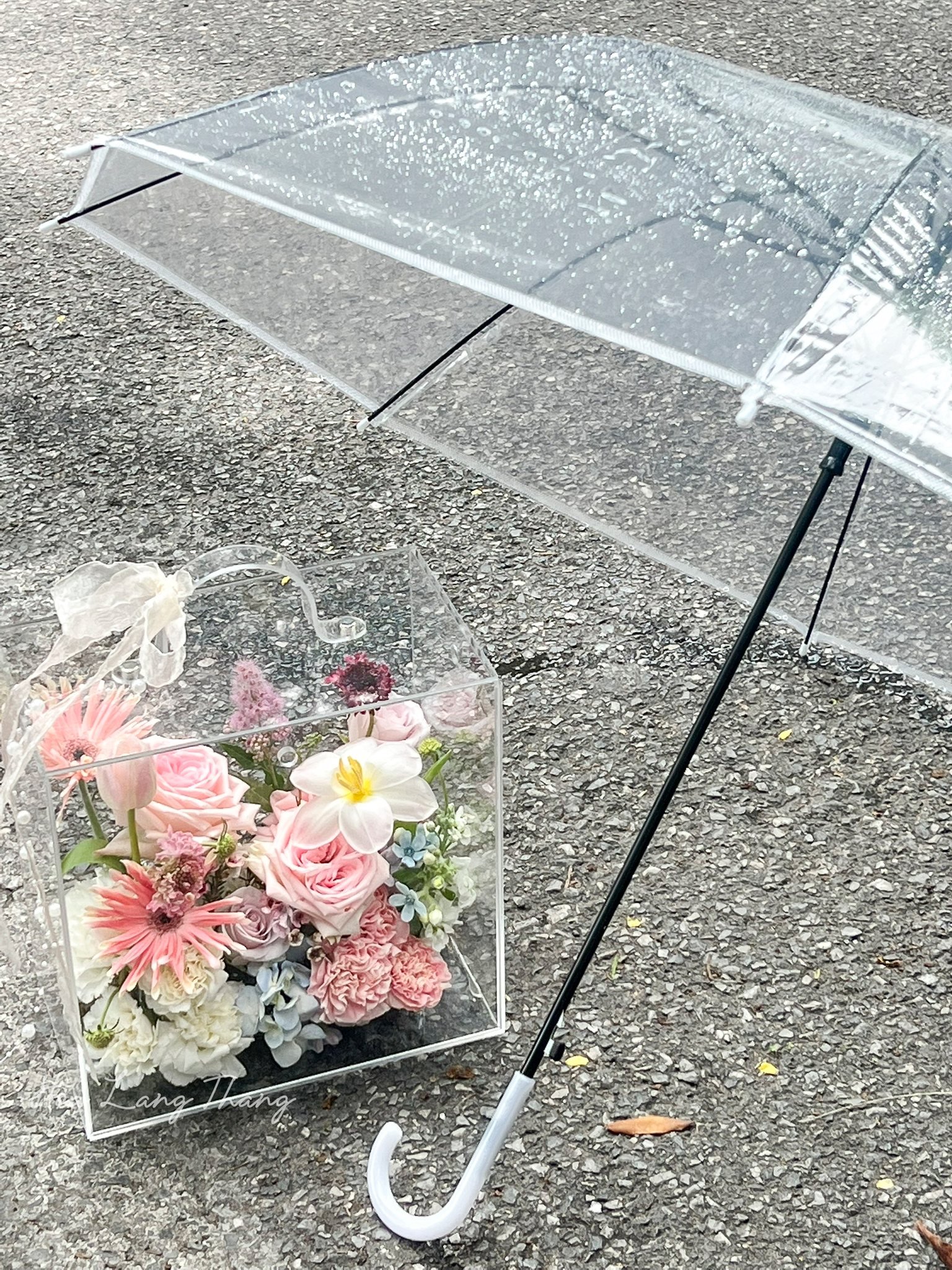 Bó hoa đẹp trong hộp trong suốt, có hồng, tulip, lan hồ điệp, giữa trời mưa