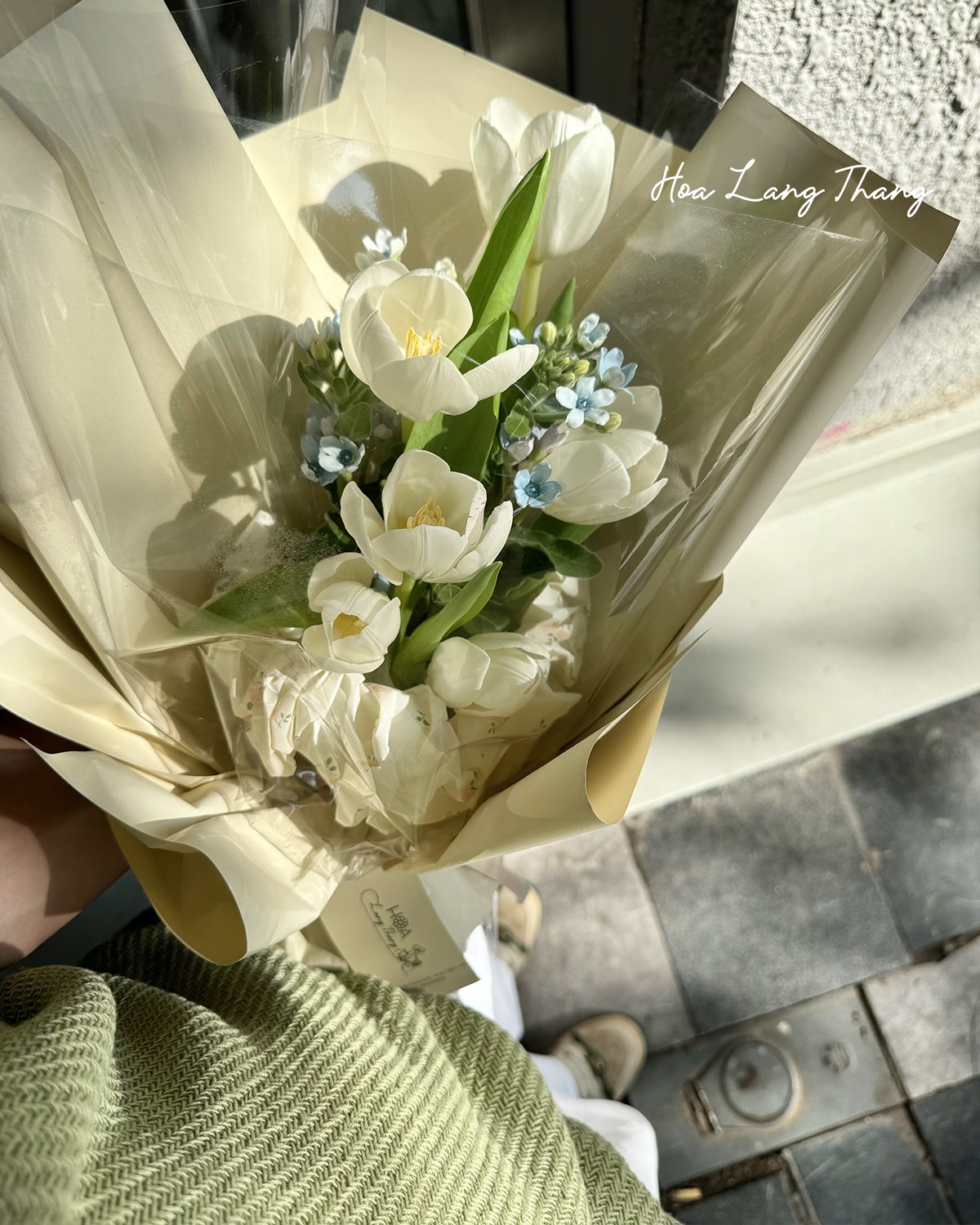 Bó hoa gồm tulip trắng, hoa baby và hoa xanh làm điểm nhấn