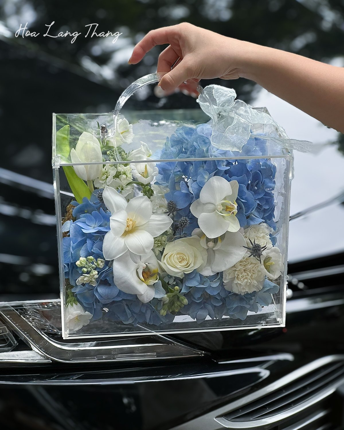 Hộp hoa trong suốt chứa hoa xanh, trắng, bao gồm <a href=