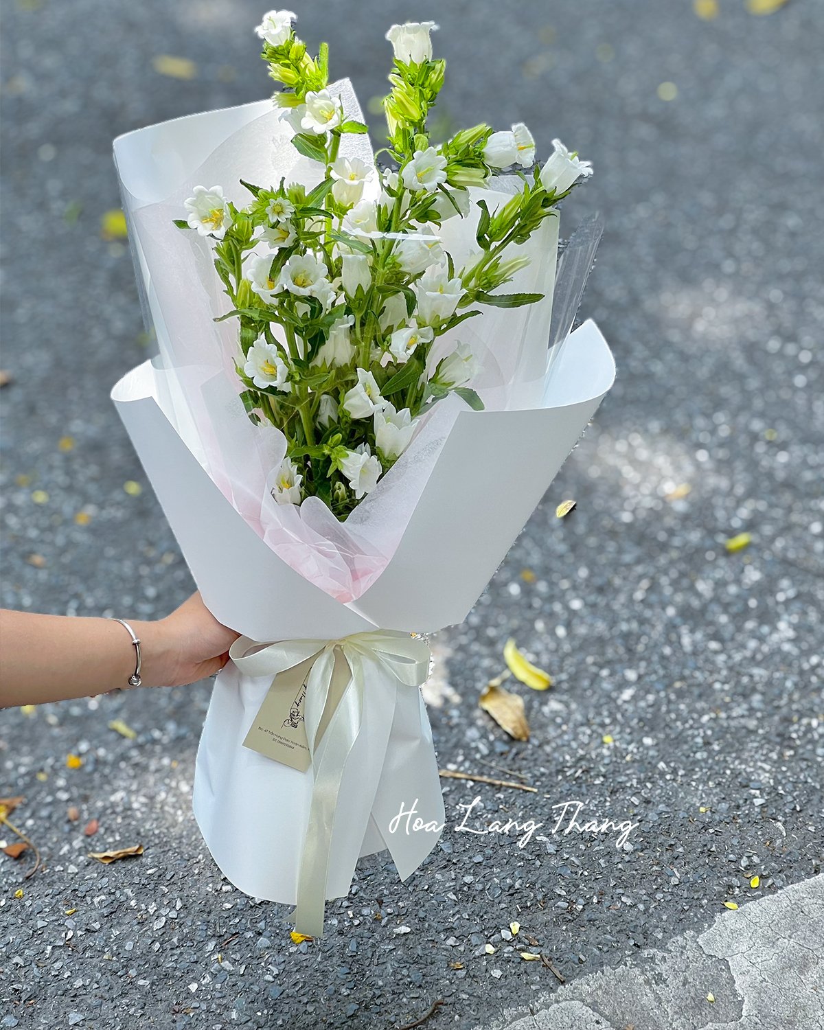 🌸 Tinh khôi và nên thơ, hoa chuông trắng mang đến vẻ đẹp trong sáng, dịu dàng và thuần khiết
