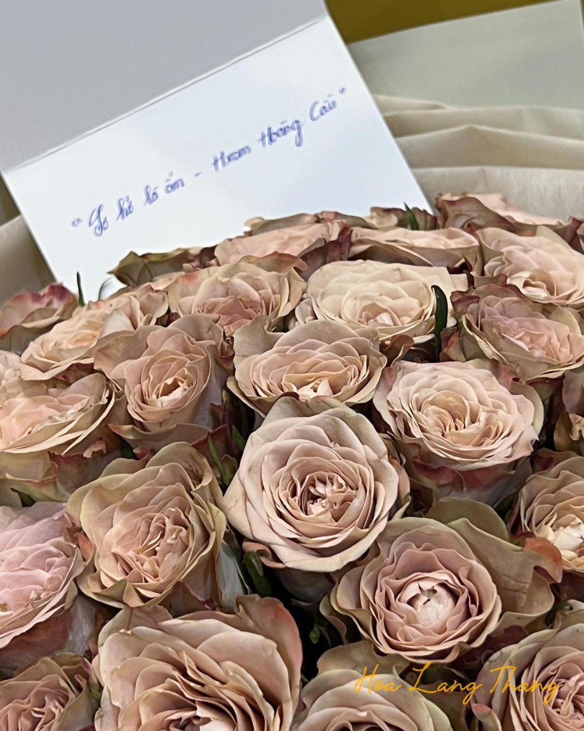 Bó hoa hồng pastel tinh tế từ shop Hoa Lang Thang, có thiệp chúc mừng