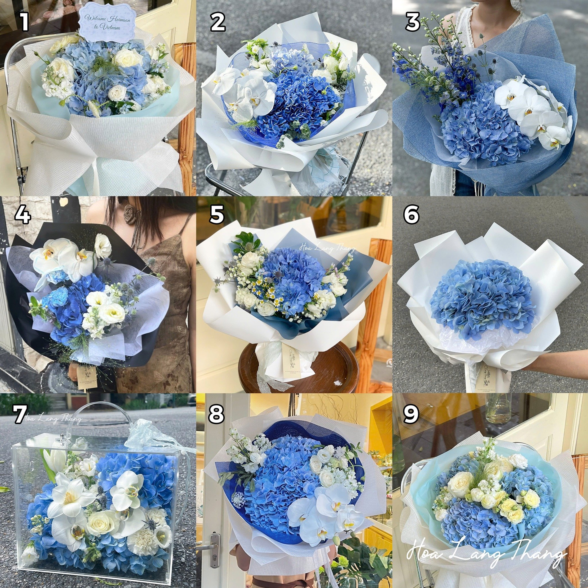 💙 Bộ sưu tập hoa Cẩm tú cầu xanh  💙