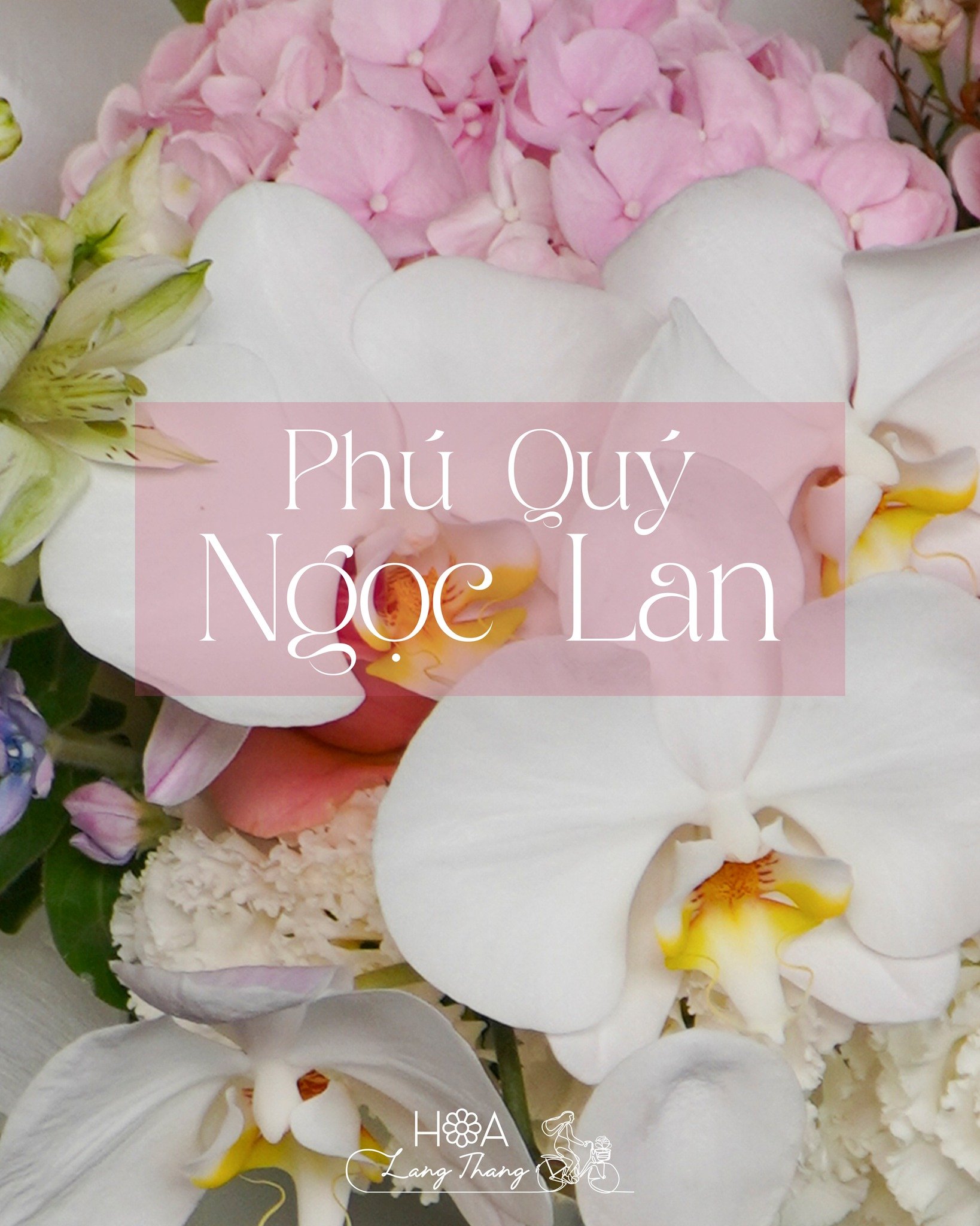 Bình hoa phong lan trắng và hồng cùng hoa khác tạo sự sang trọng, thích hợp trang trí