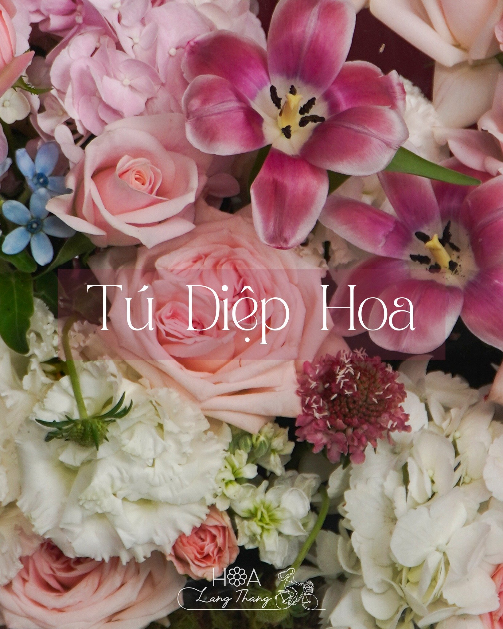Bó hoa gồm tulip, hồng và cẩm tú cầu, cắm kiểu nghệ thuật