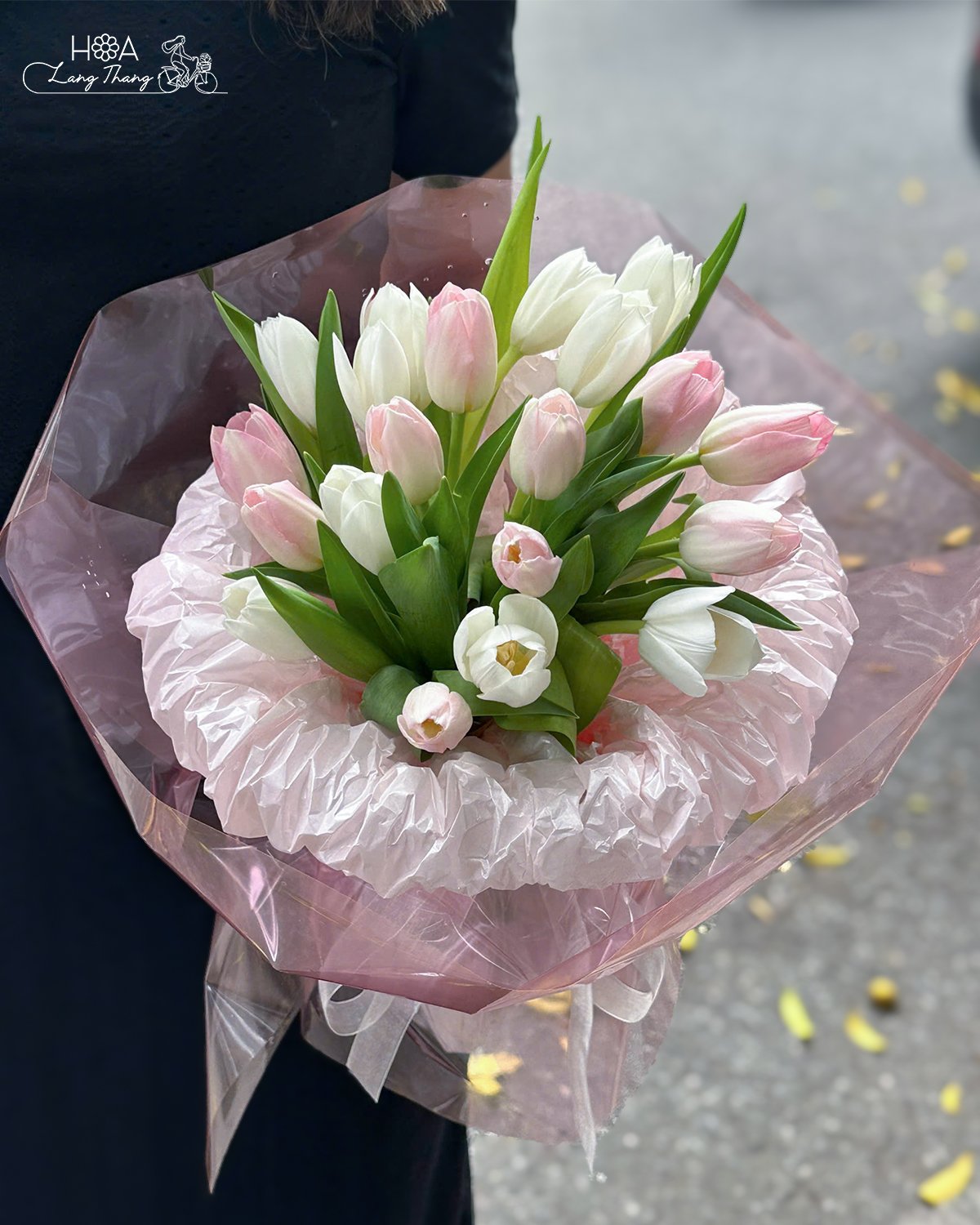 🌷 Kết thúc kỳ nghỉ lễ, quay trở lại với cuộc sống thường nhật