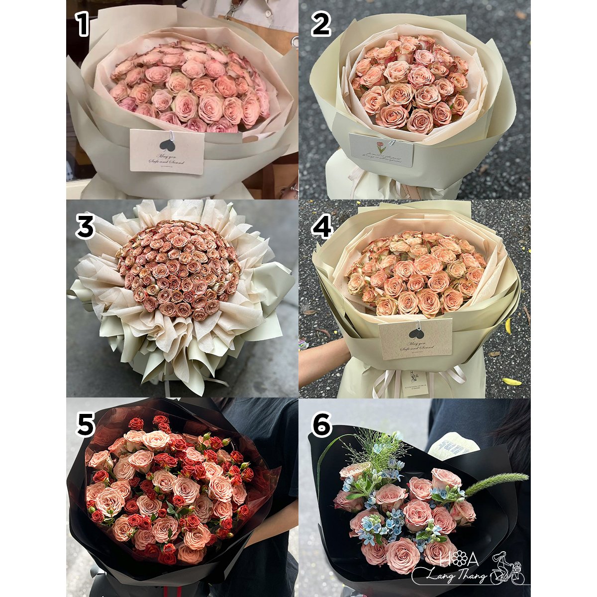 💐 Cappuccino Rose Collection – Unique Colors, Diverse Flower Shapes ✨