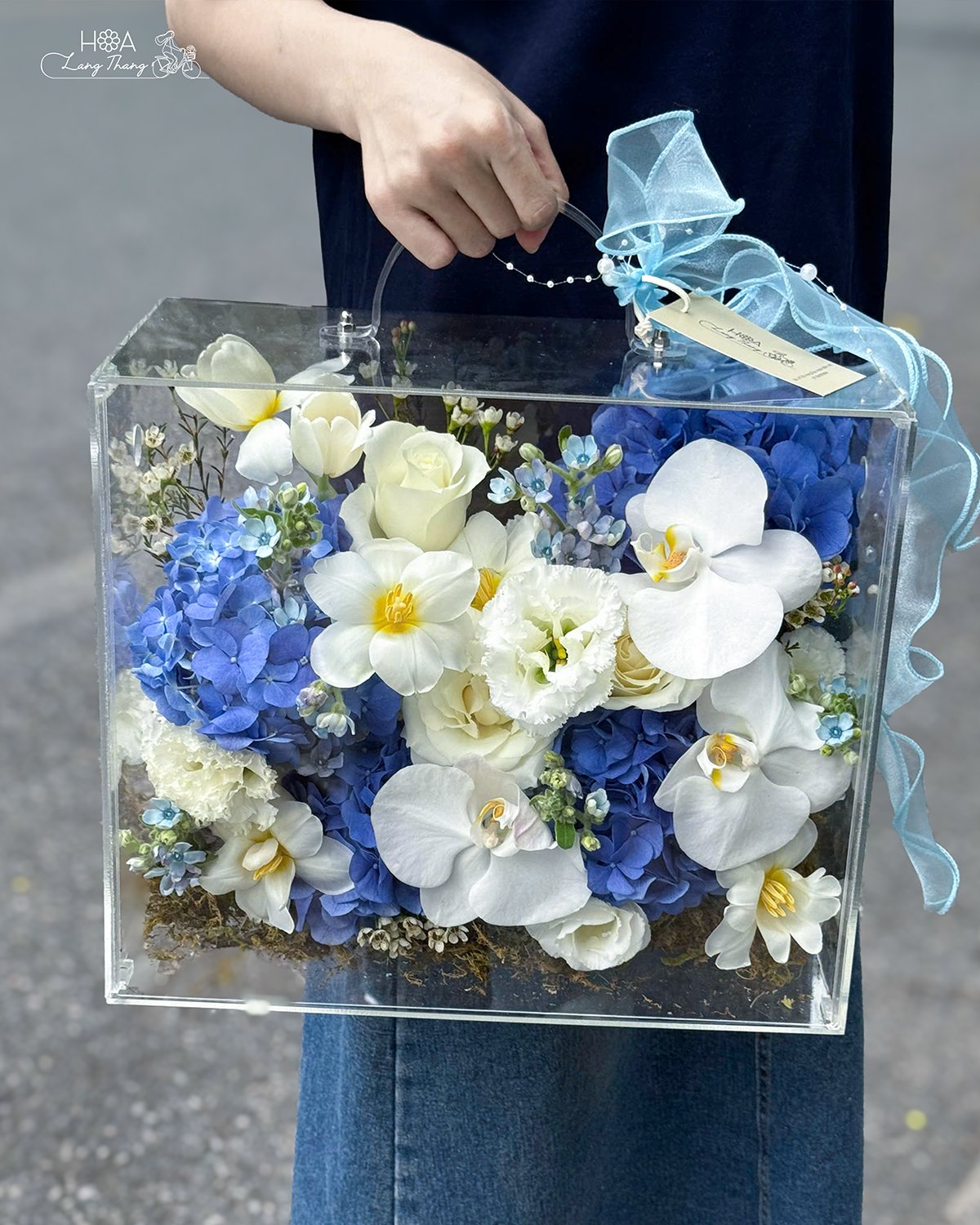 💙Sắc xanh biếc của cẩm tú cầu và trắng rạng rỡ của lan hồ điệp, tulip trắng, trong hộp