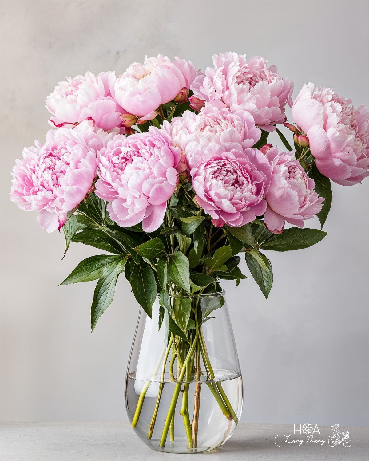 Bình hoa peony hồng đẹp mắt, kiểu cắm tao nhã, thích hợp trang trí