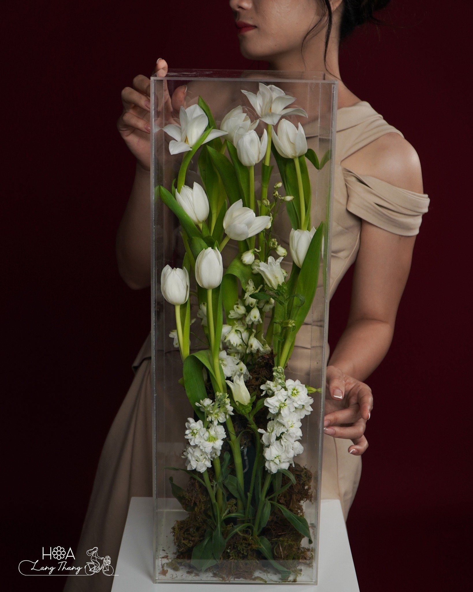 Bình hoa tulip trắng, lan hoàng thảo và hoa thạch thảo, kiểu cắm hiện đại