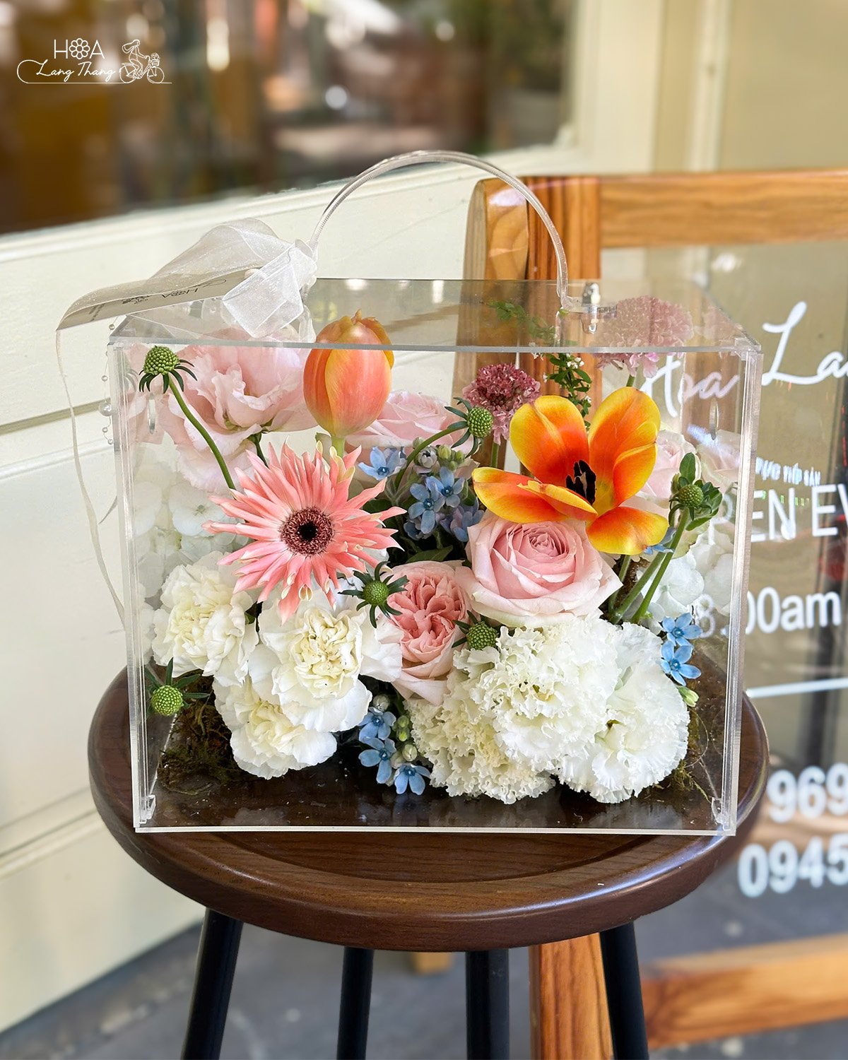 Hà Nội vào thu, những con đường dường như được phủ lên một tấm áo mới, nhẹ nhàng và thanh thoát. Những tia nắng không còn gay