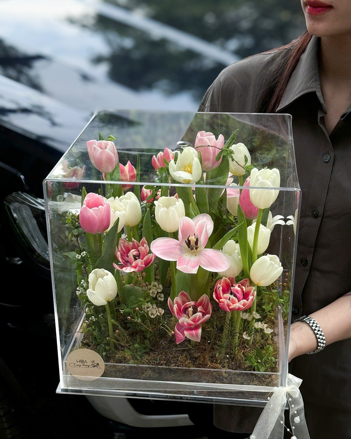 Hộp hoa tulip và lan hồ điệp xinh xắn, cắm trong hộp thủy tinh