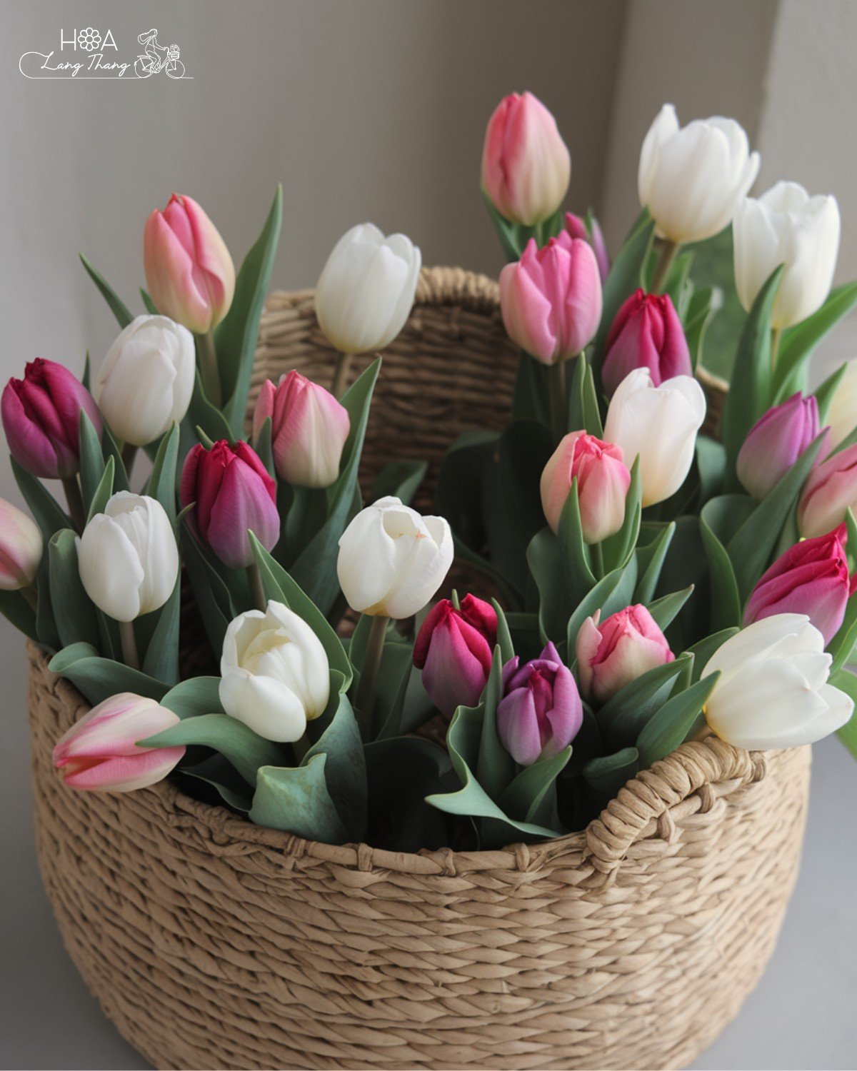 Giỏ hoa tulip nhiều màu sắc tươi sáng, trang trí đẹp mắt