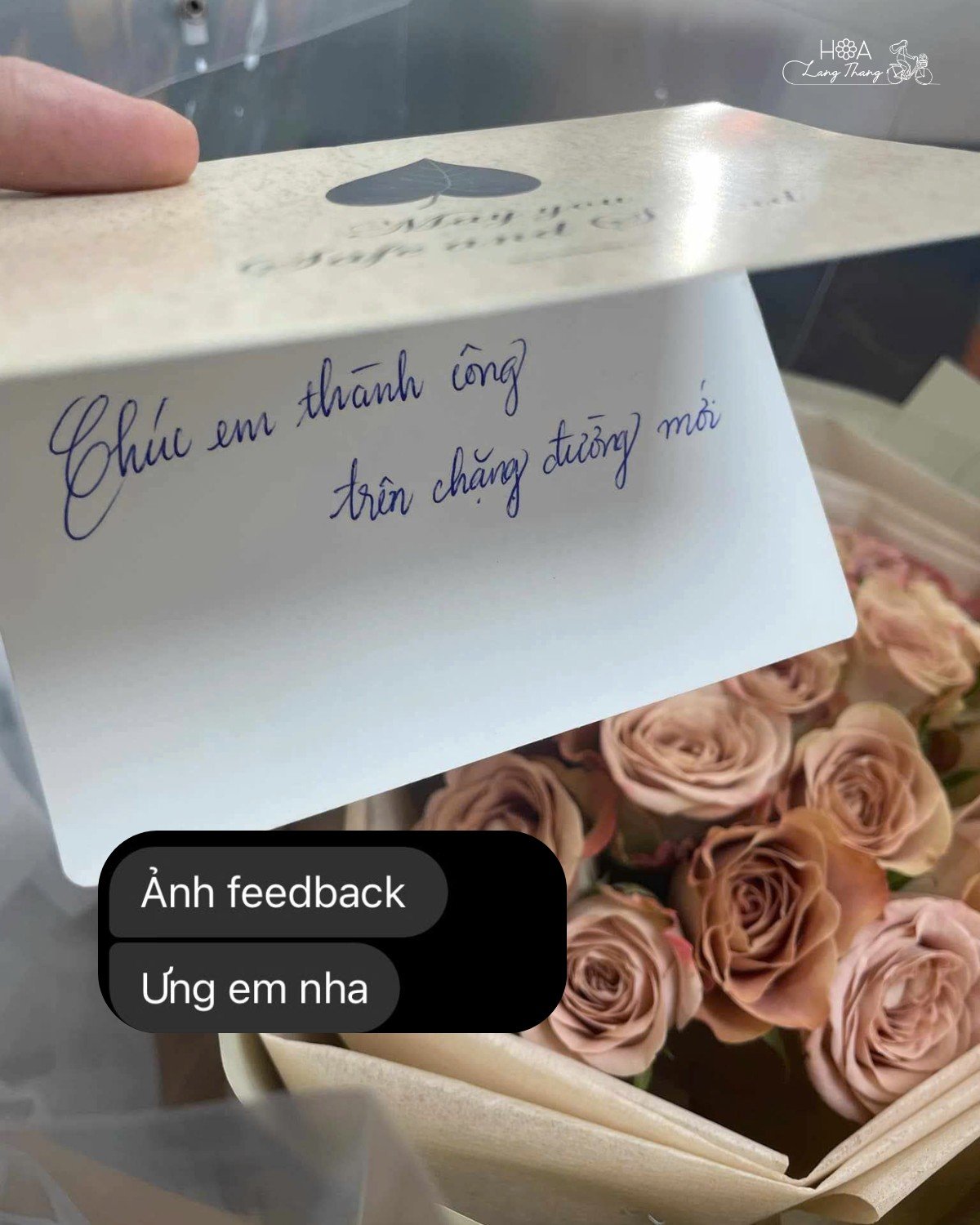 Hoa hồng cappuccino luôn nhận được nhiều sự yêu thích từ quý khách hàng ❤