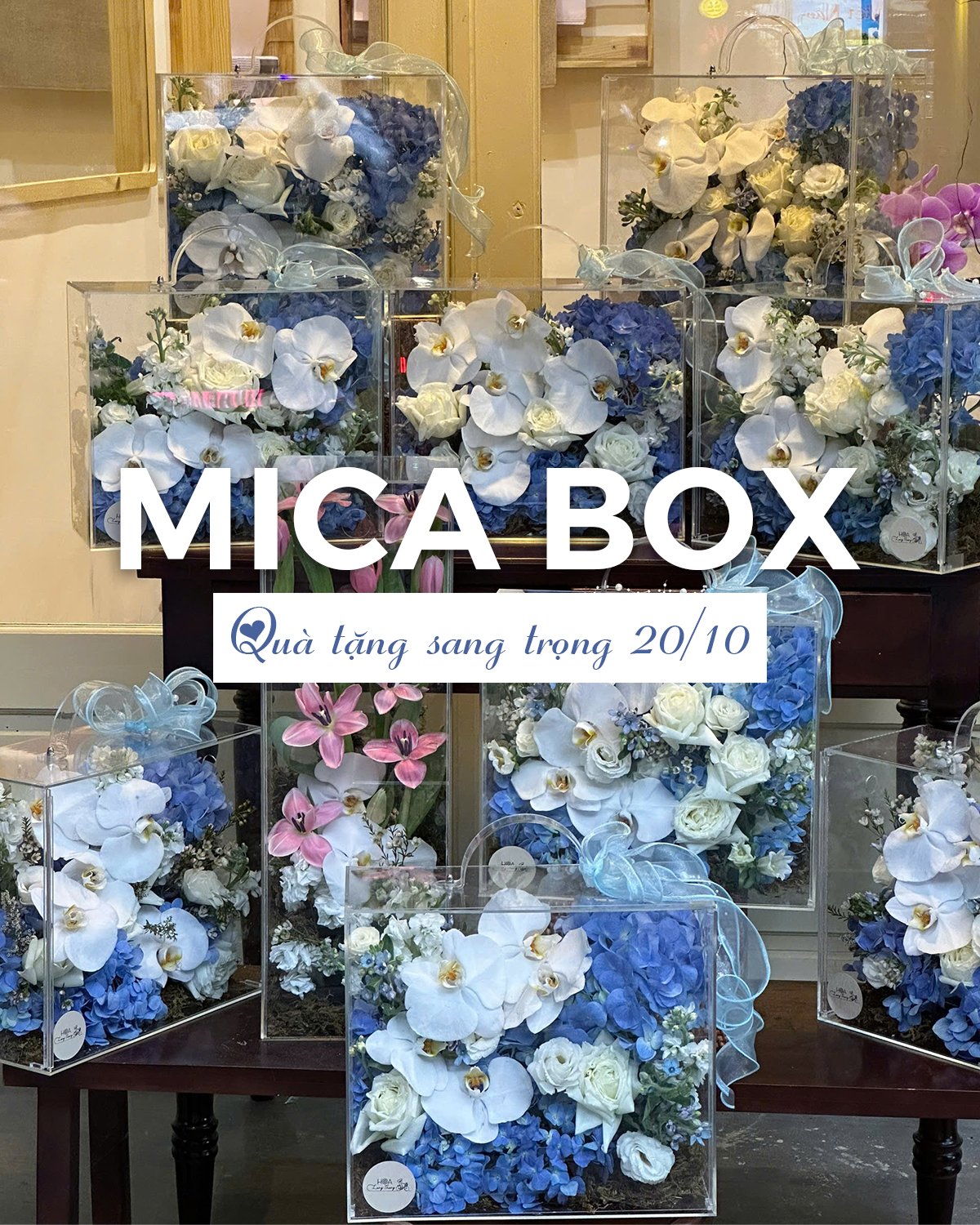 Mica box hoa với các loại lan hồ điệp, hồng và hoa baby, sang trọng cho dịp 20/10