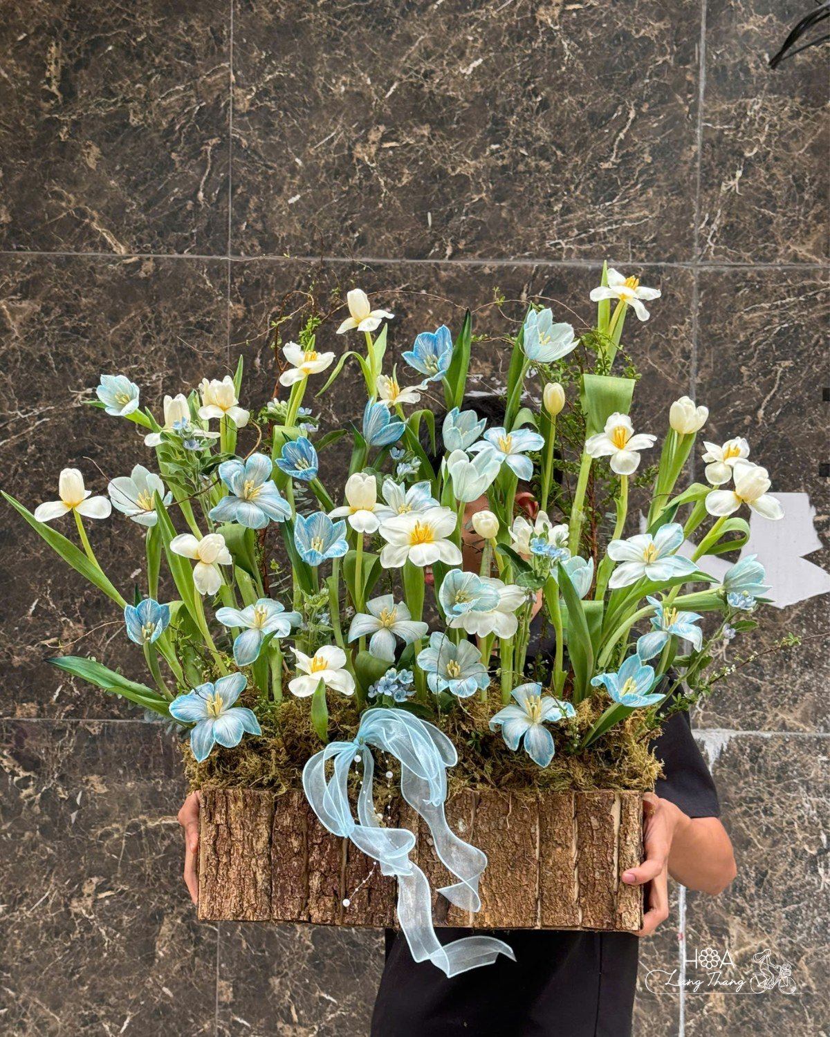 Chậu hoa tươi nhiều loại, gồm tulip và thuy tien, cắm sáng tạo trong chậu gỗ