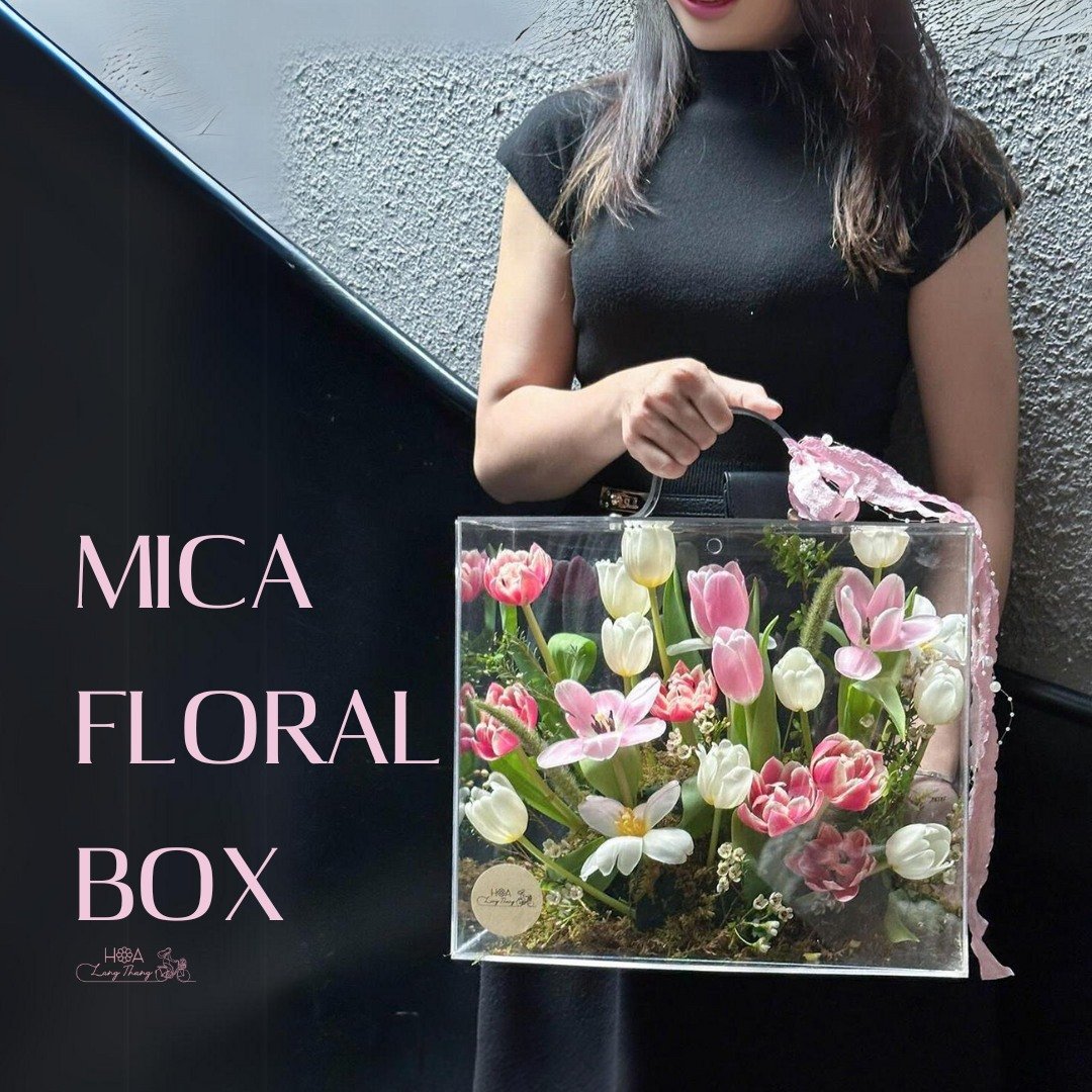 Hộp hoa Mica với hoa tulip hồng và trắng, cắm kiểu độc đáo