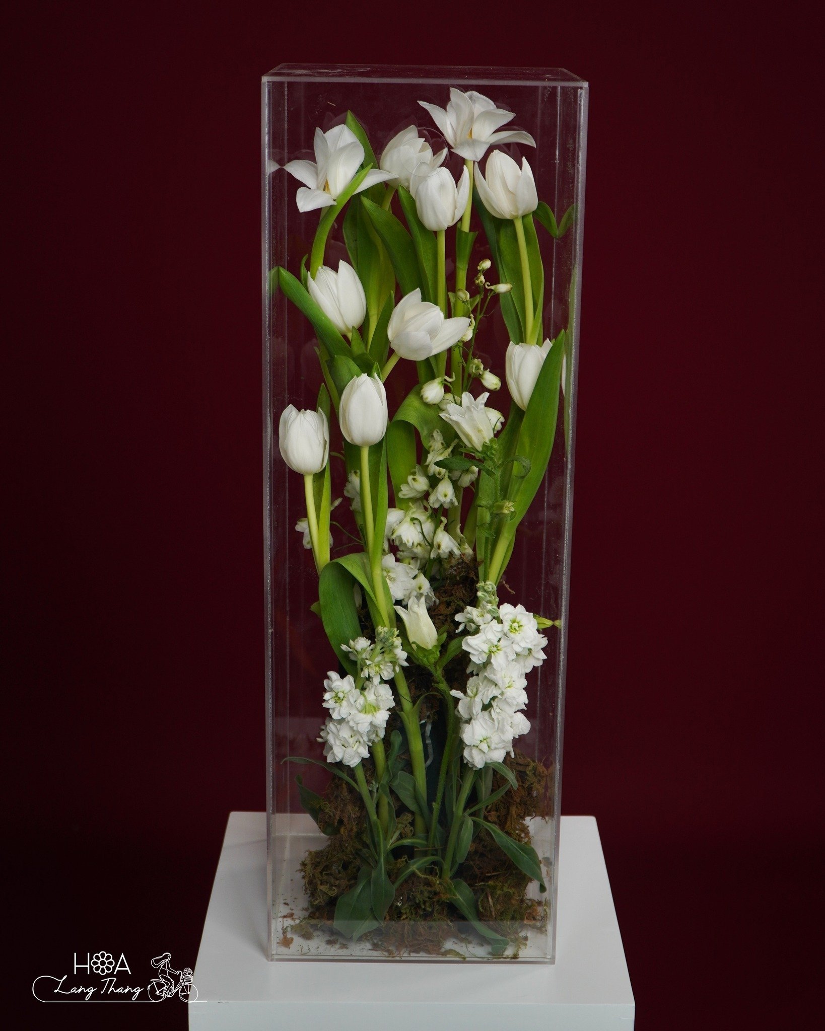 Bình hoa thủy tinh chứa tulip trắng và lan hồ điệp trang nhã