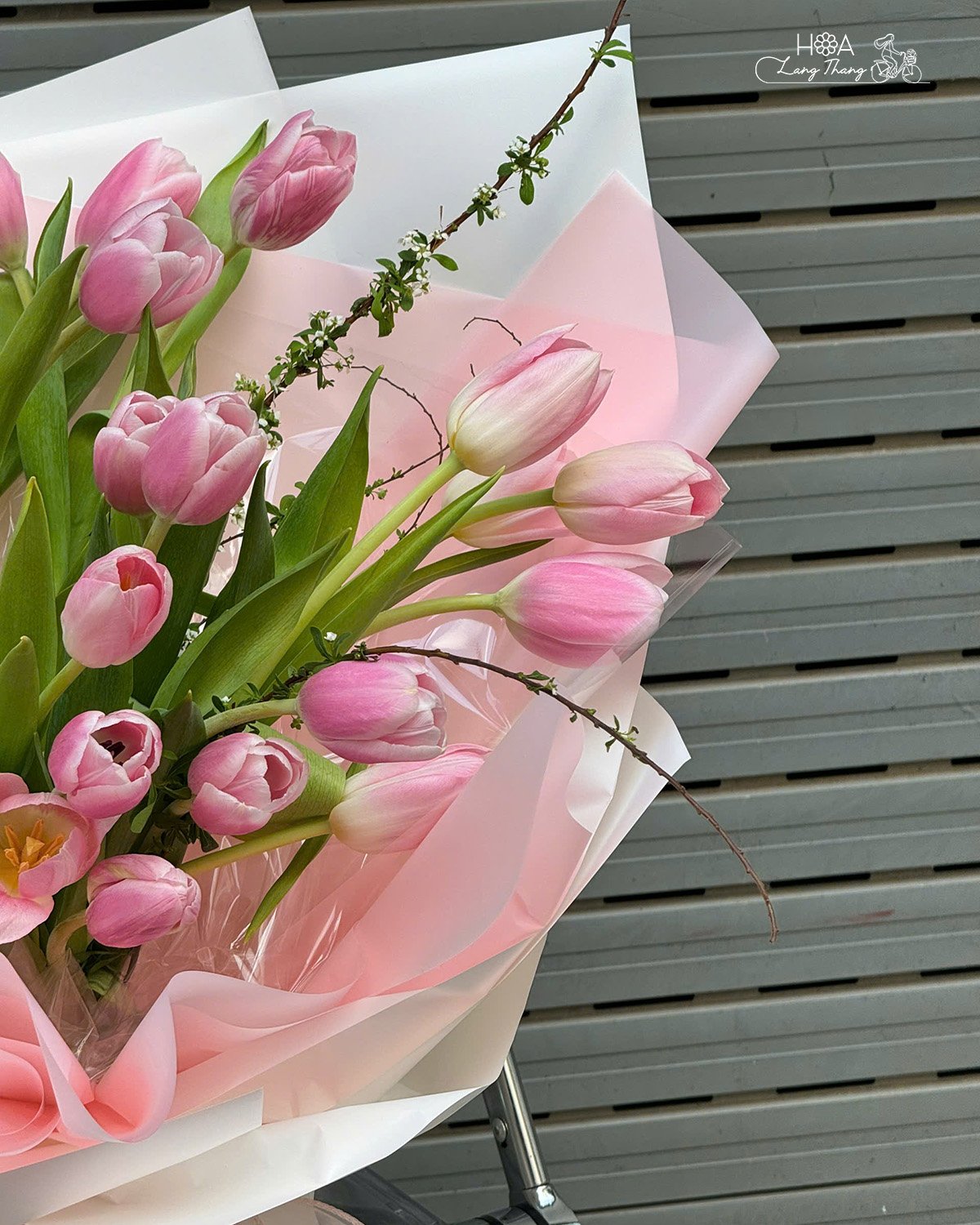 Bó hoa tulip hồng cắm tinh tế, thích hợp cho nhiều dịp hấp dẫn