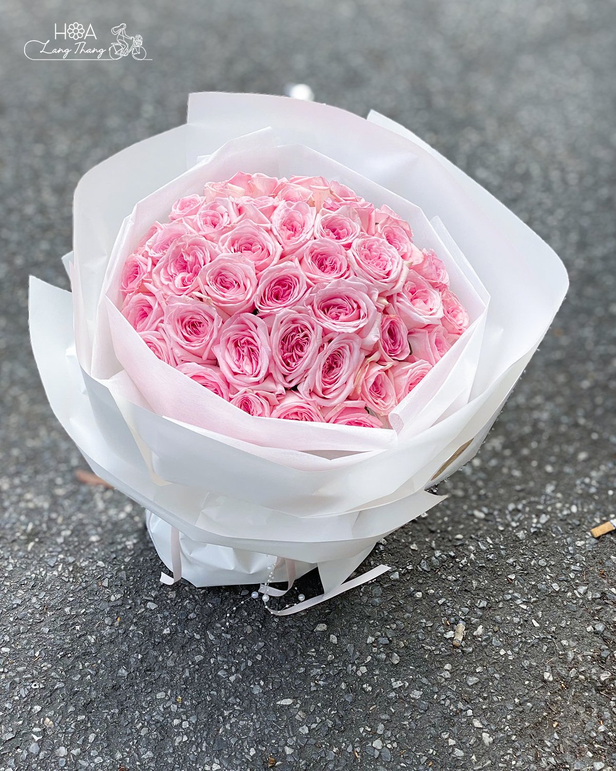 Hoa hồng O'hara gây ấn tượng bởi sắc hoa ngọt ngào, hương thơm dịu dàng, khiến người nhận cảm thấy sự trân trọng và nâng niu 