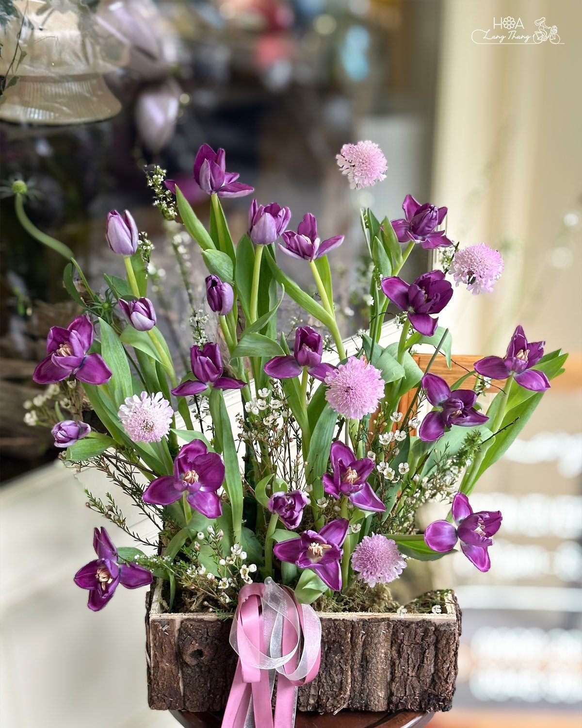Chậu hoa gồm tulip tím và hoa scabiosa, cắm đẹp mắt, phù hợp cho nhiều dịp