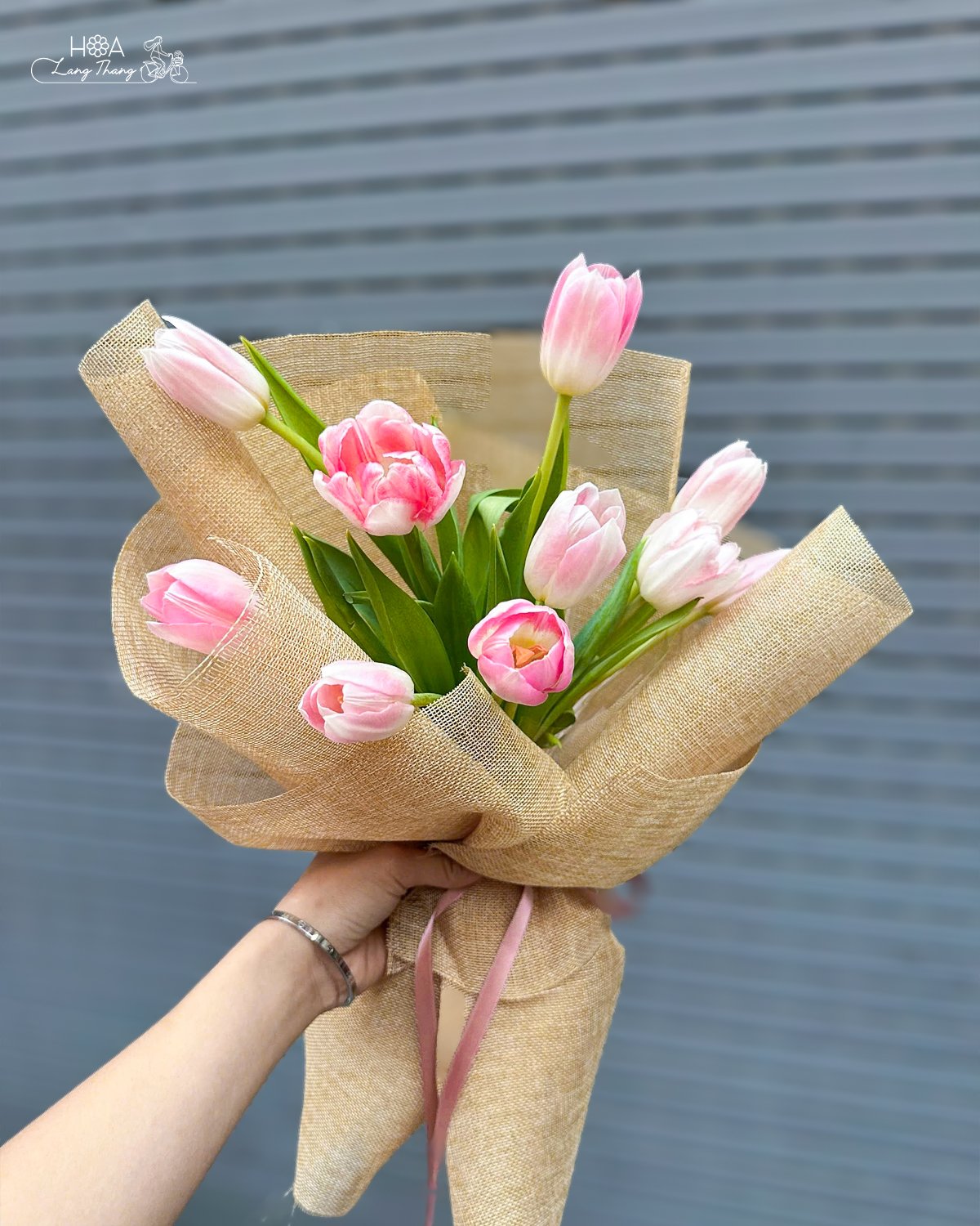 Bó hoa tulip hồng và trắng tươi sáng, trang trí thanh lịch