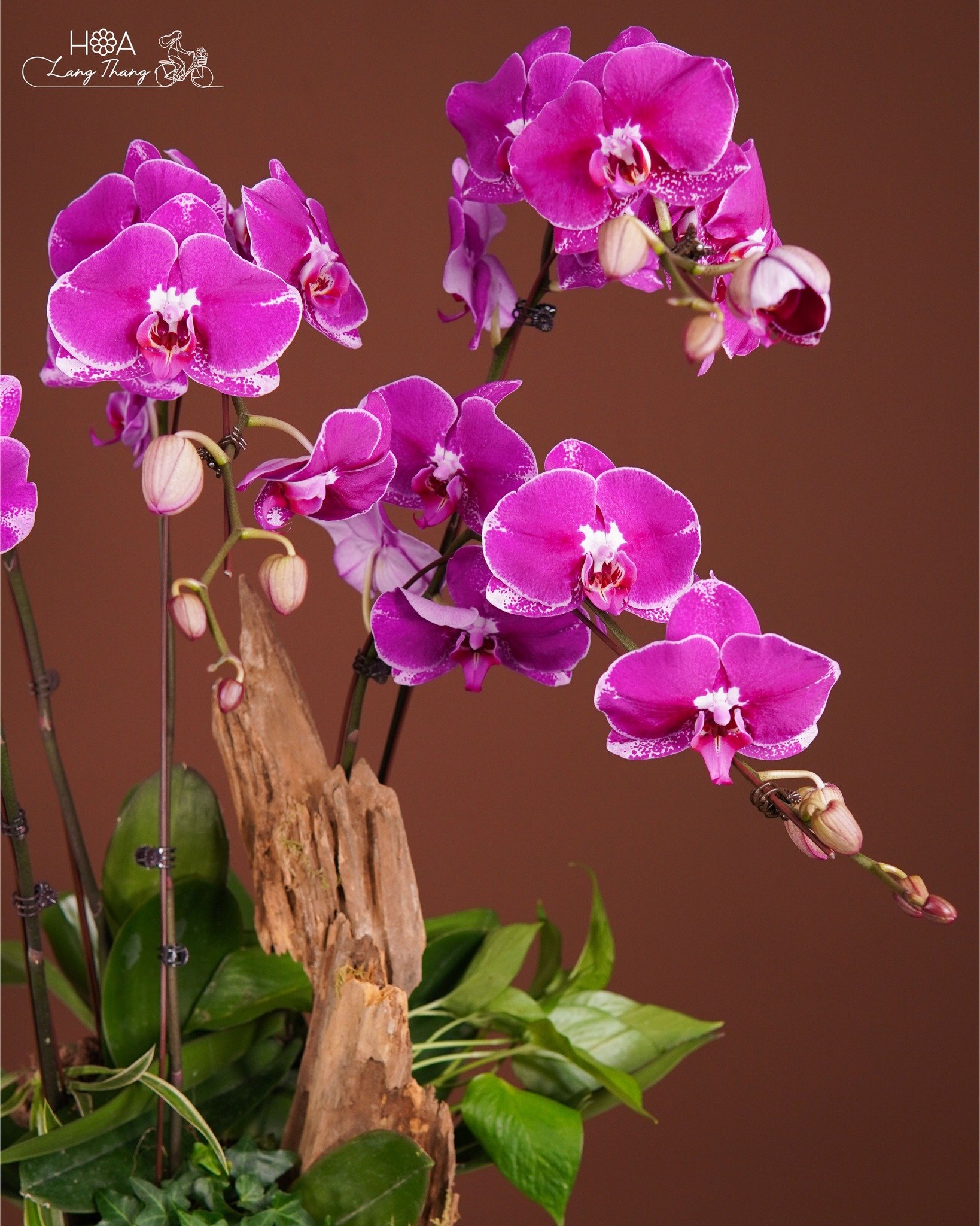Giỏ hoa <a href=