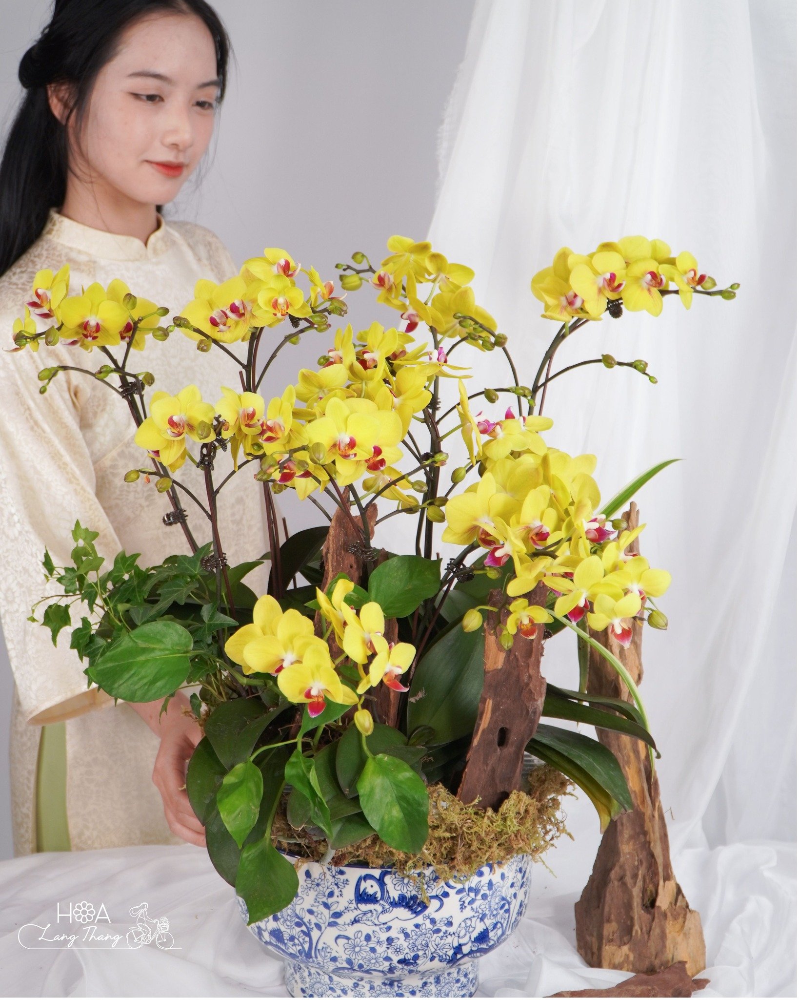 Cắm hoa <a href=
