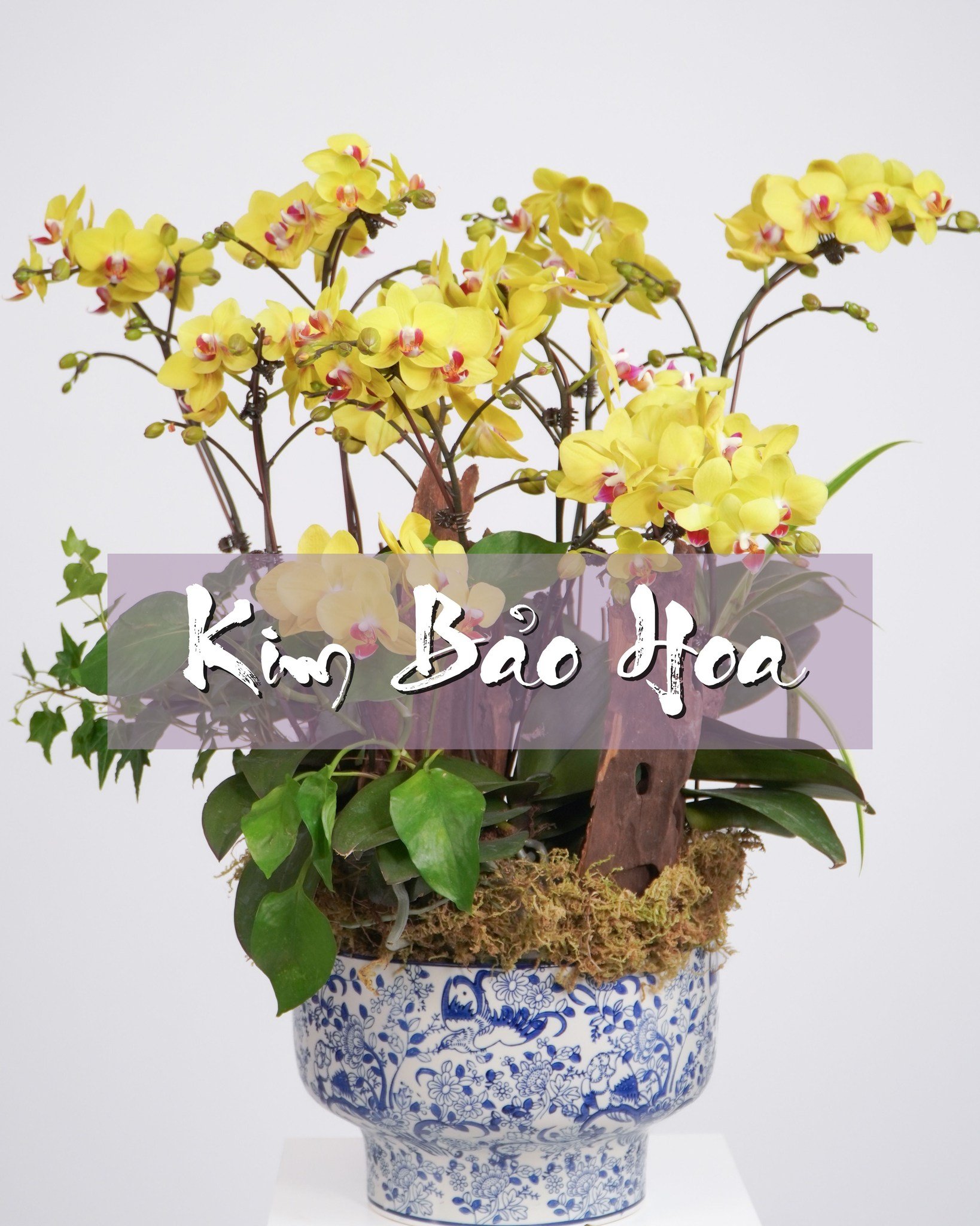 Giỏ hoa <a href=