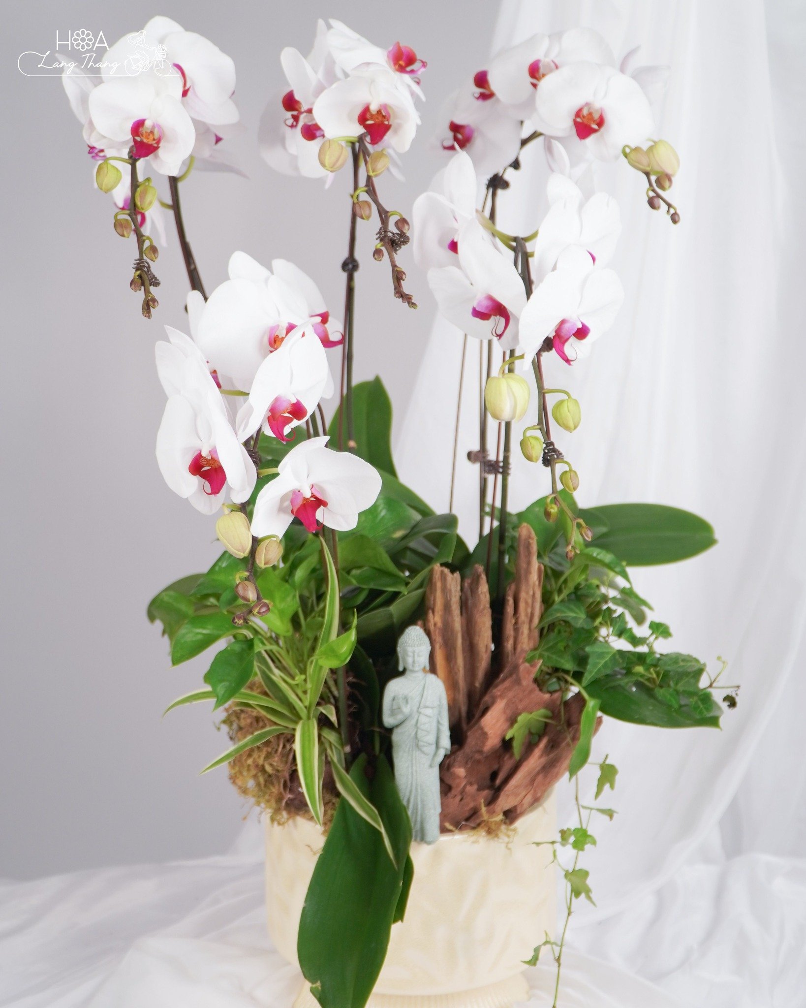 Bình hoa lan hồ điệp trắng sang trọng với nhiều nhánh hoa và decor tự nhiên