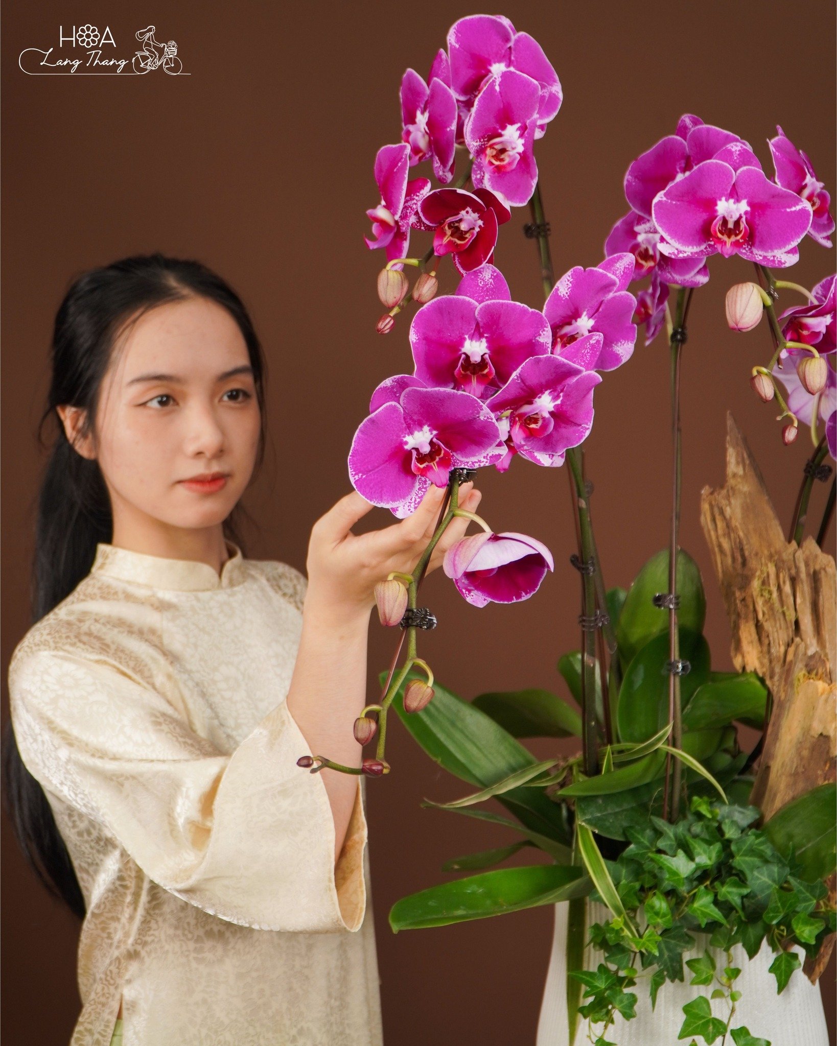 Cô gái tự nhiên chăm sóc hoa lan hồ điệp tím trong bình hoa