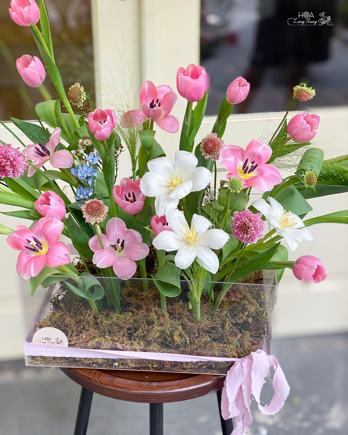 Bình hoa nghệ thuật với hoa tulip, lily, và scabiosa, kiểu cắm đẹp mắt
