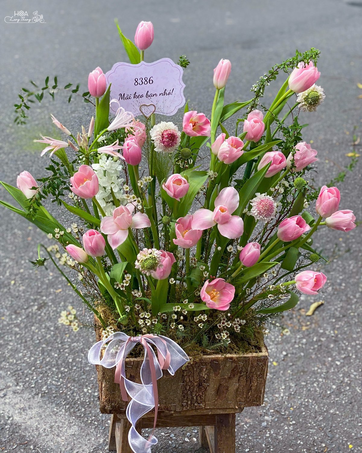 Giỏ hoa tulip hồng rực rỡ, điểm nhấn cho không gian sống động