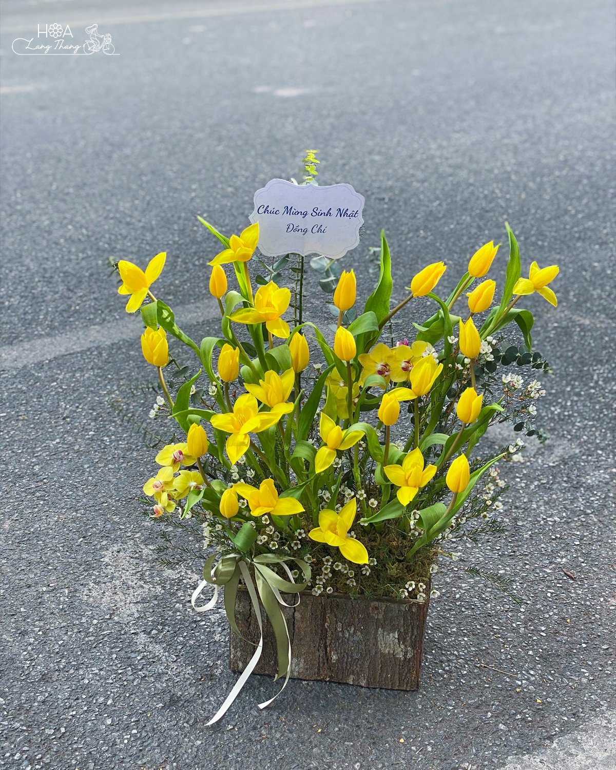 Như tia nắng vàng rực rỡ xuyên qua sương mù ngày đông, lẵng hoa tulip mang theo hơi ấm và niềm vui, sưởi ấm ngày đông Hà Nội