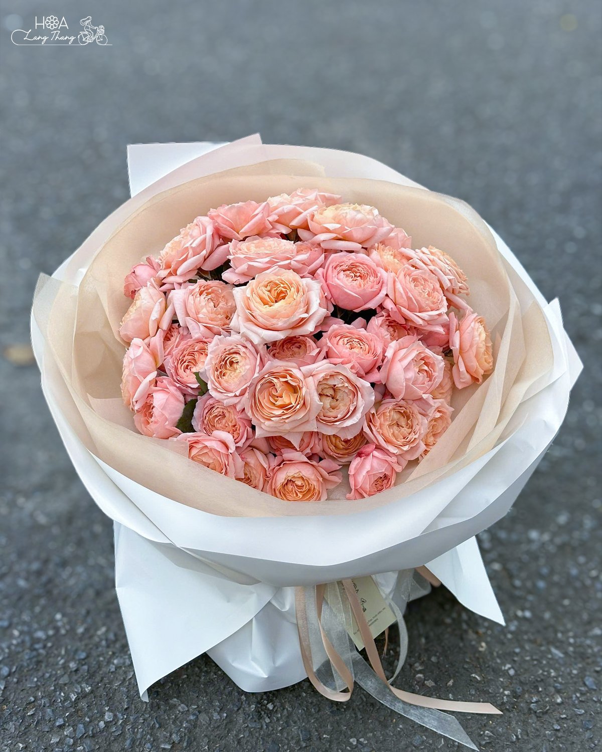 Chào tuần mới với bó hoa hồng chùm Polla ngát hương, đượm sắc tại Hoa Lang Thang 🌸