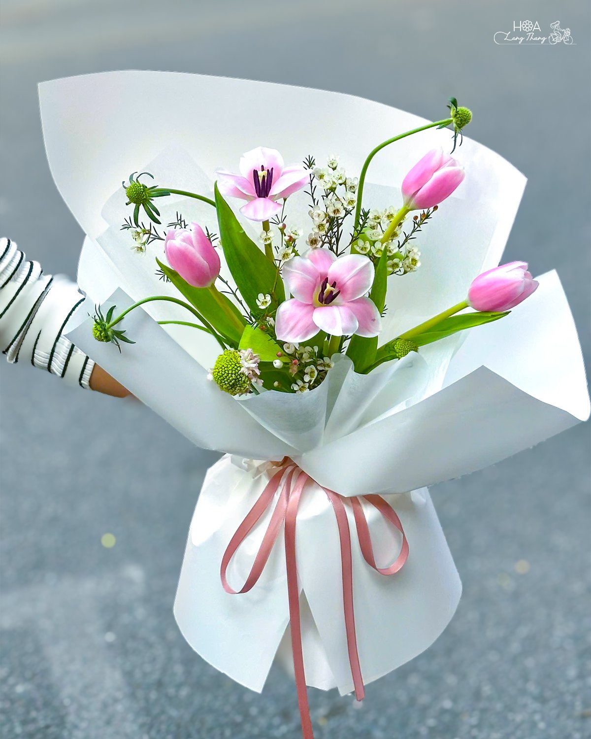 Bó hoa gồm tulip và hoa baby, trang trí tinh tế với giấy trắng và ruy băng hồng