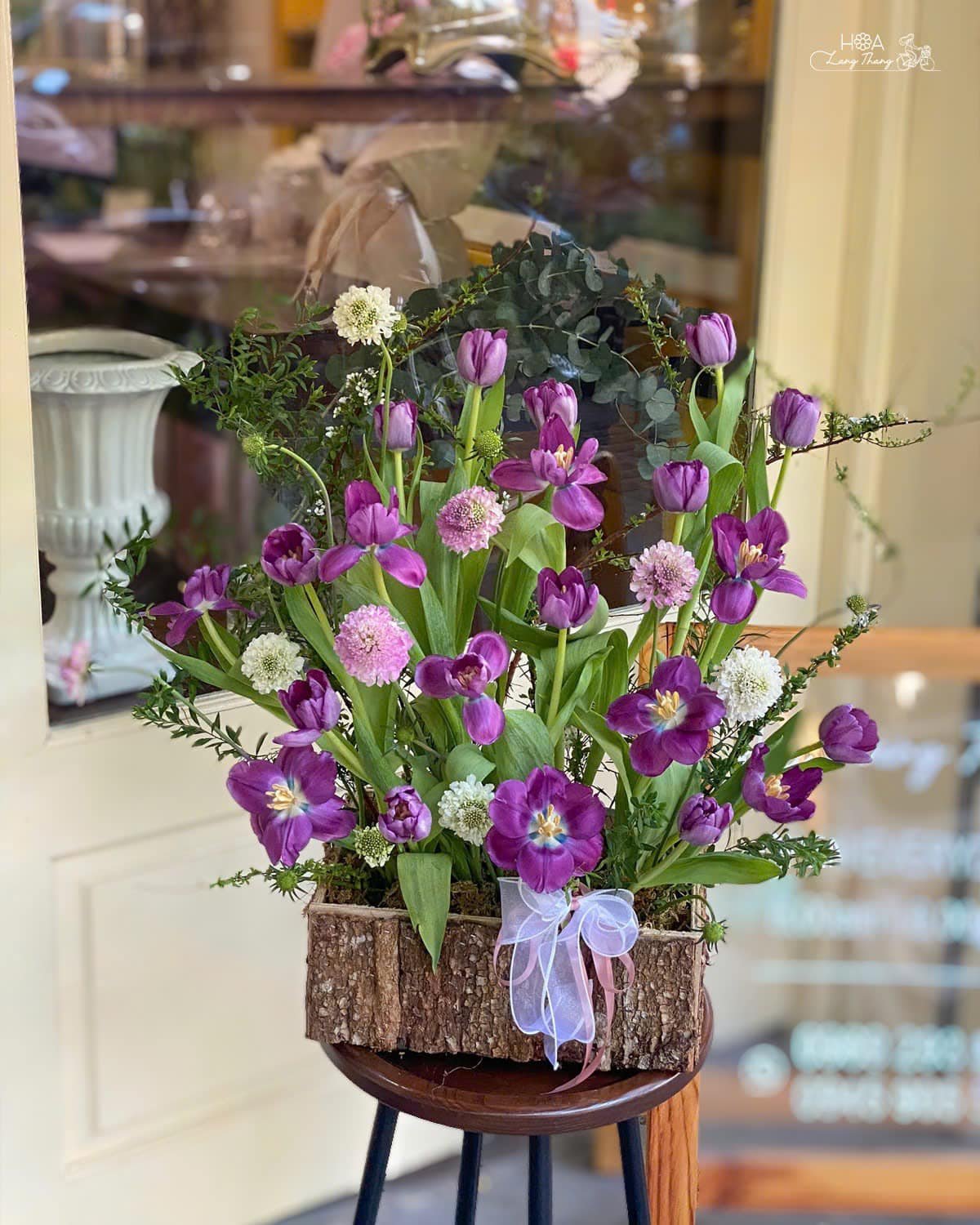 Chẳng có gì tuyệt vời hơn khi được chiêm ngưỡng một giỏ hoa tulip tím Hà Lan rực rỡ trong ngôi nhà của mình hoặc dành tặng ch