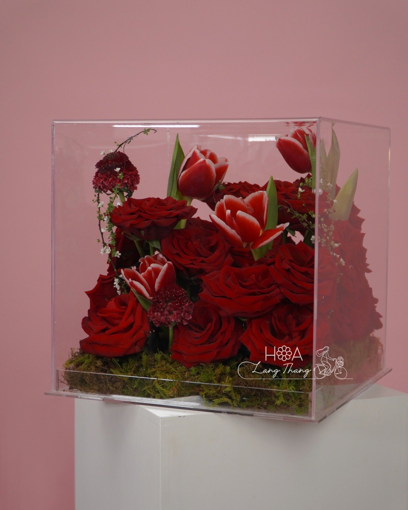 Hộp hoa gồm hồng đỏ và tulip, kiểu cắm nghệ thuật trong hộp trong suốt