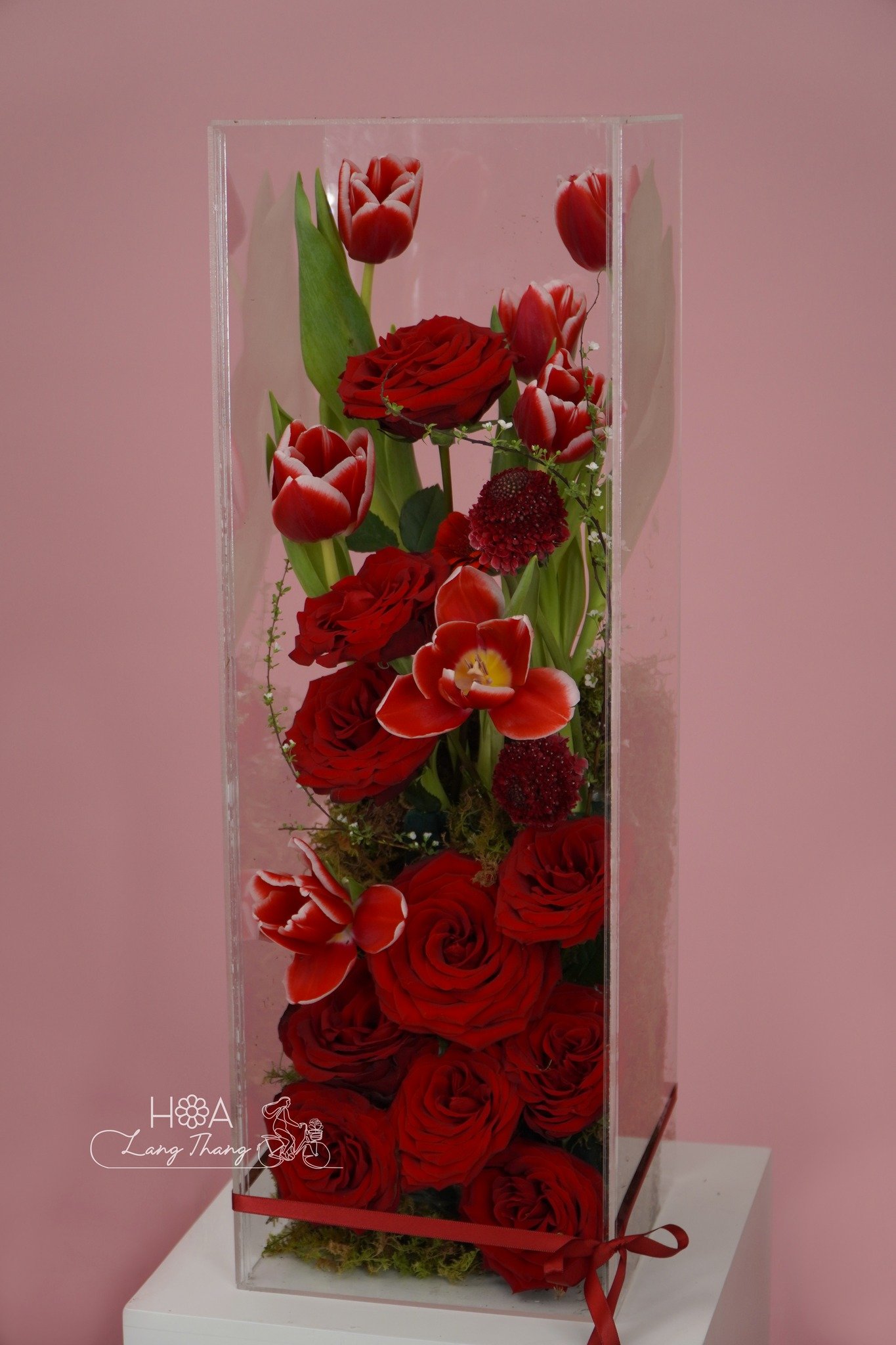 Bình hoa cắm đẹp với hoa hồng đỏ, tulip và lan hồ điệp, phù hợp trang trí