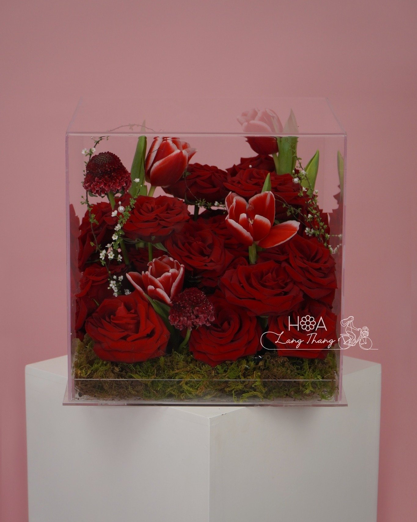 Bình hoa hình vuông gồm hoa hồng đỏ, tulip, và hoa baby, cắm sang trọng