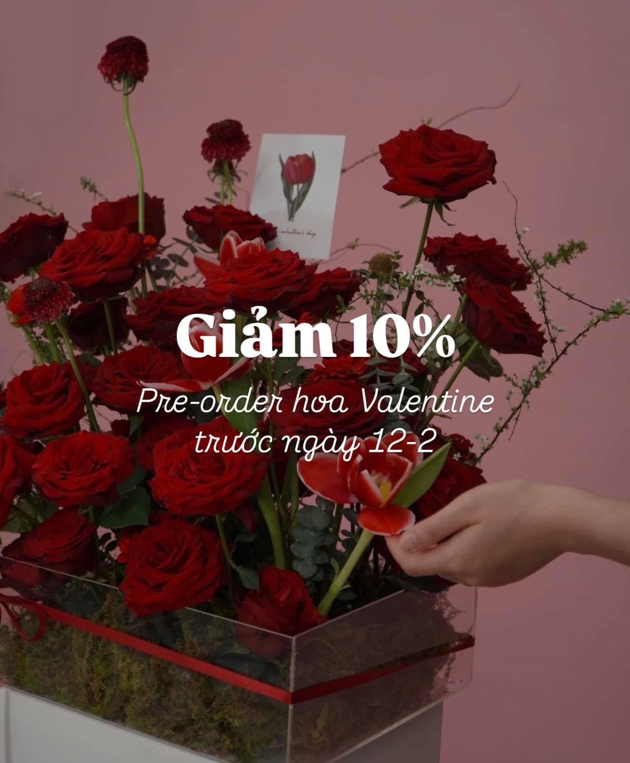 🌹 Pre-order for Valentine’s Day - Ưu đãi ngọt ngào 🌹