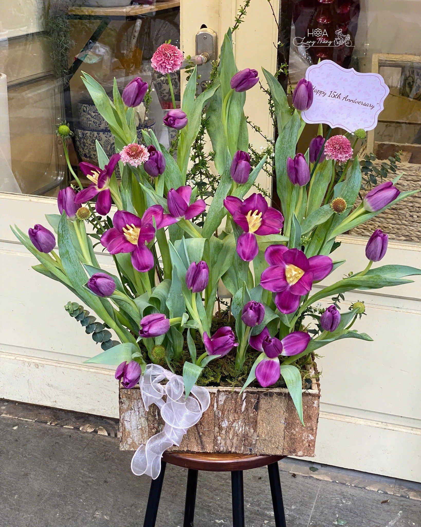 Bình hoa tươi mát với tulip tím và scabiosa chúc mừng ngày kỷ niệm
