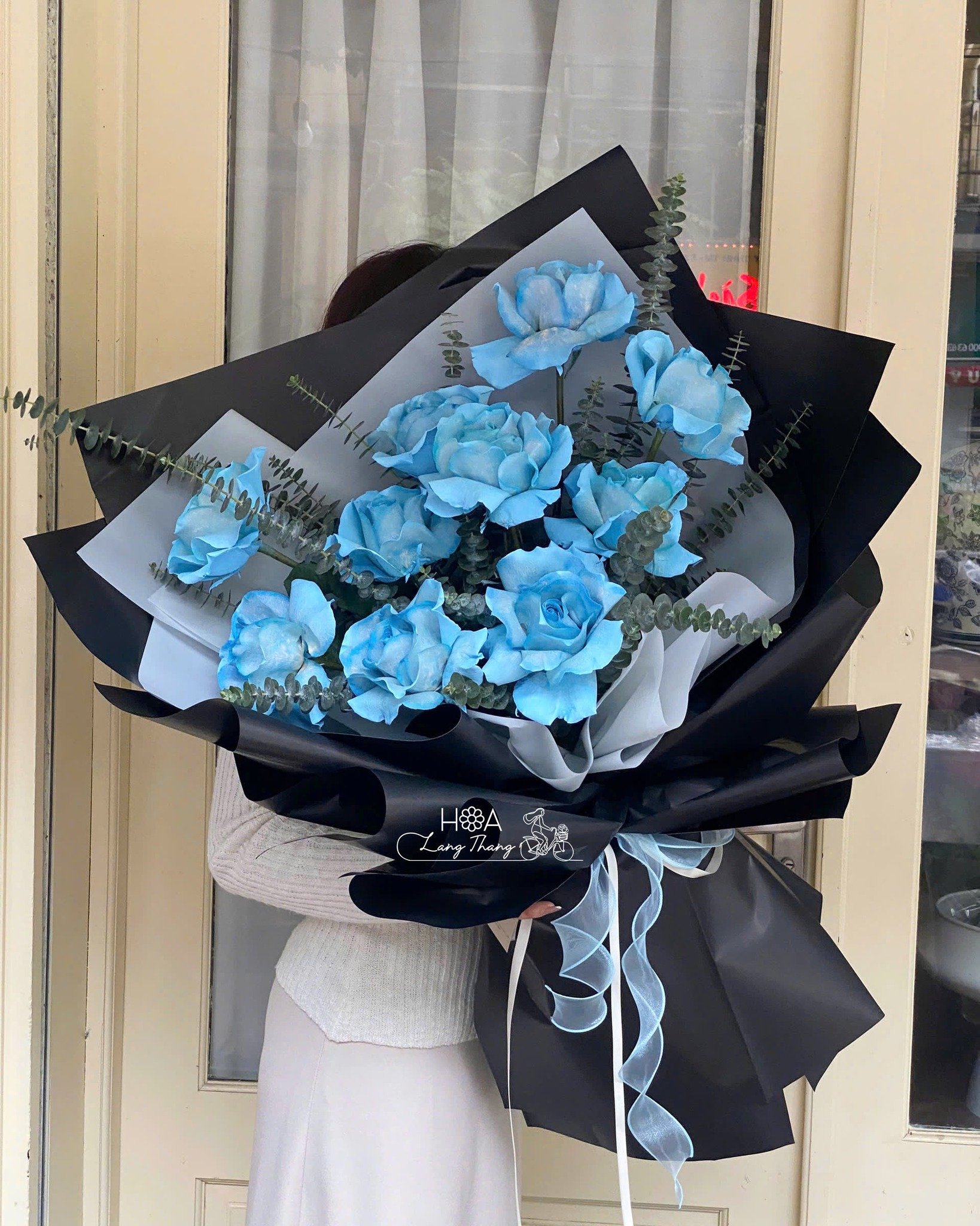 Sự cuốn hút của hoa hồng xanh: