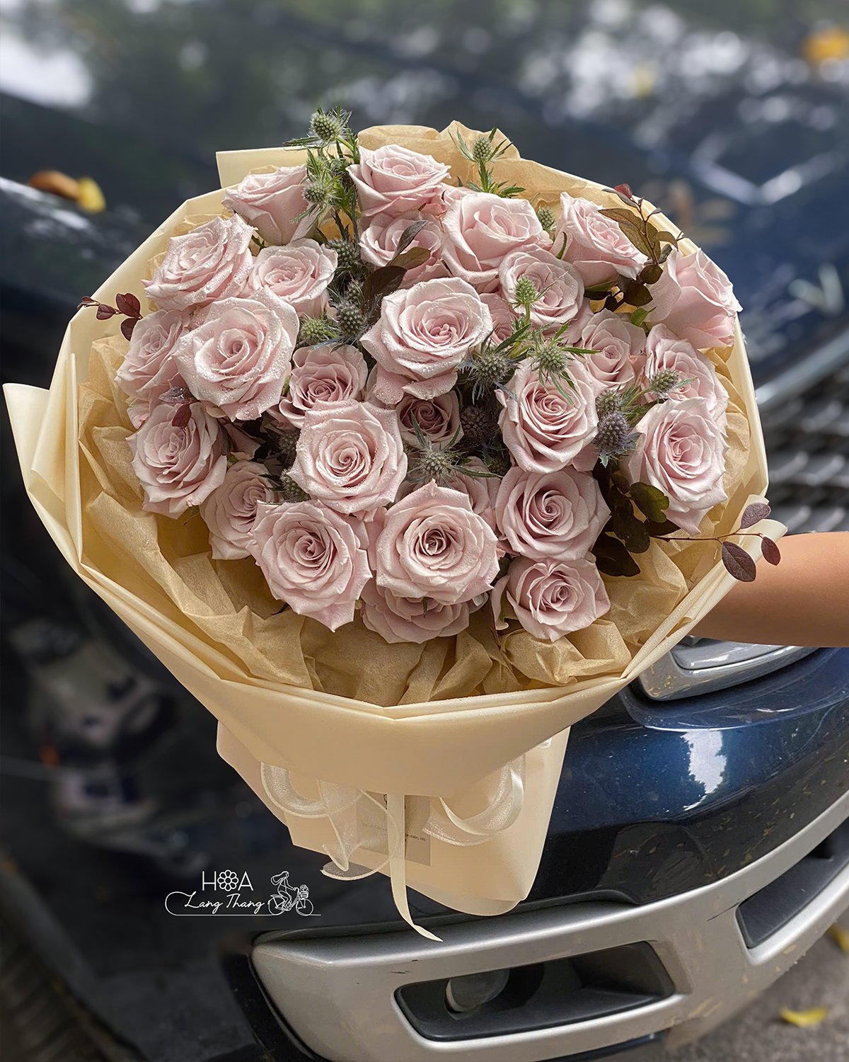 🌸 Hoa Hồng Manta – Vẻ Đẹp Của Sự Tinh Tế & Sang Trọng 🌸