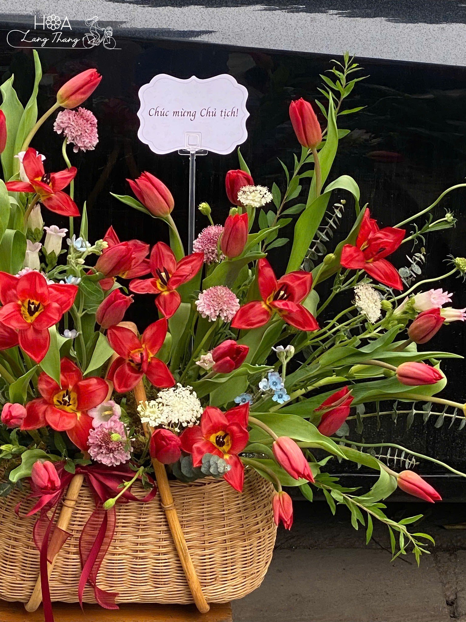 Giỏ hoa chúc mừng gồm tulip đỏ, hoa baby và lá xanh tươi tắn